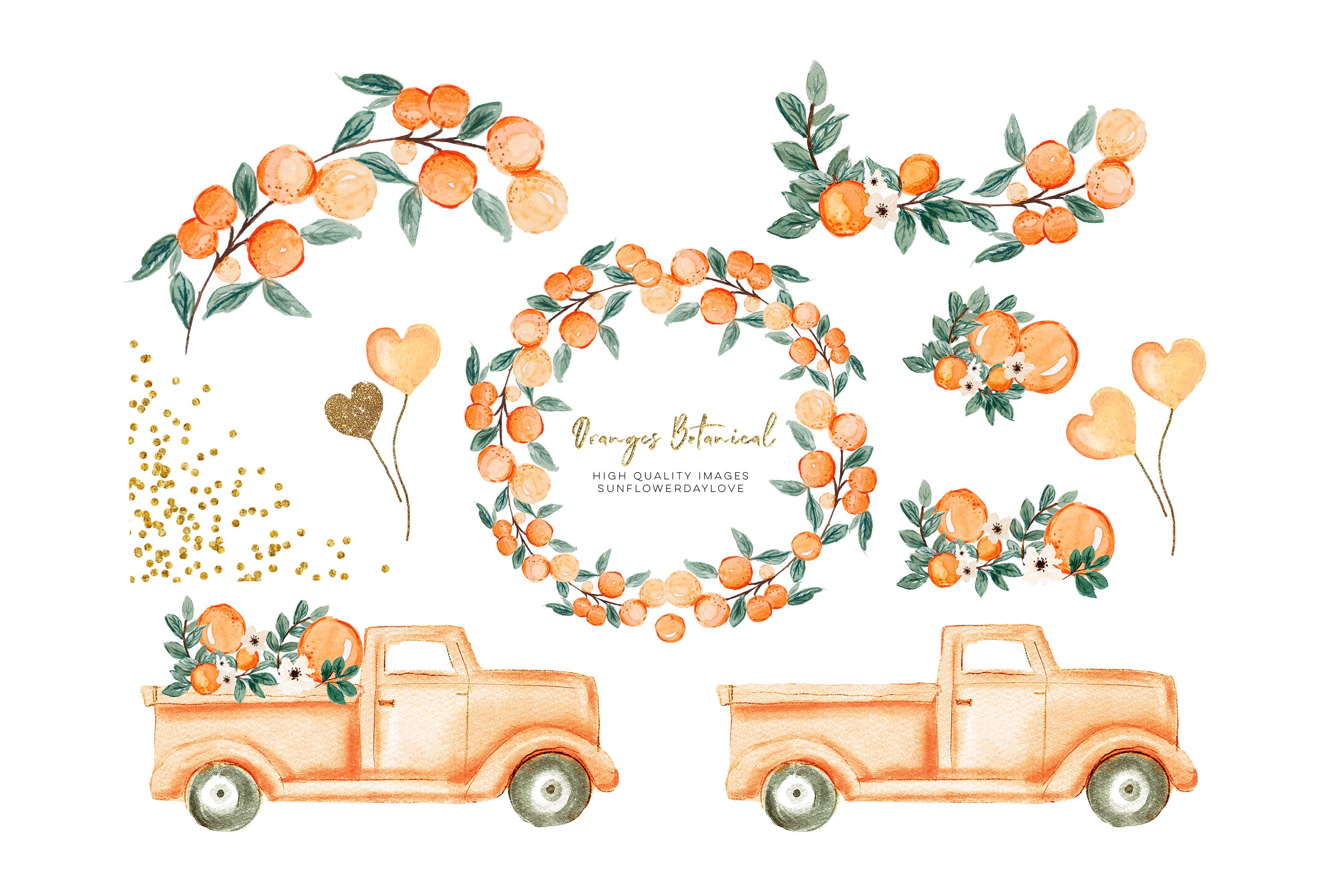 cutie Vintage Orange Illustration Citrus Botanical Fruit Clip Art