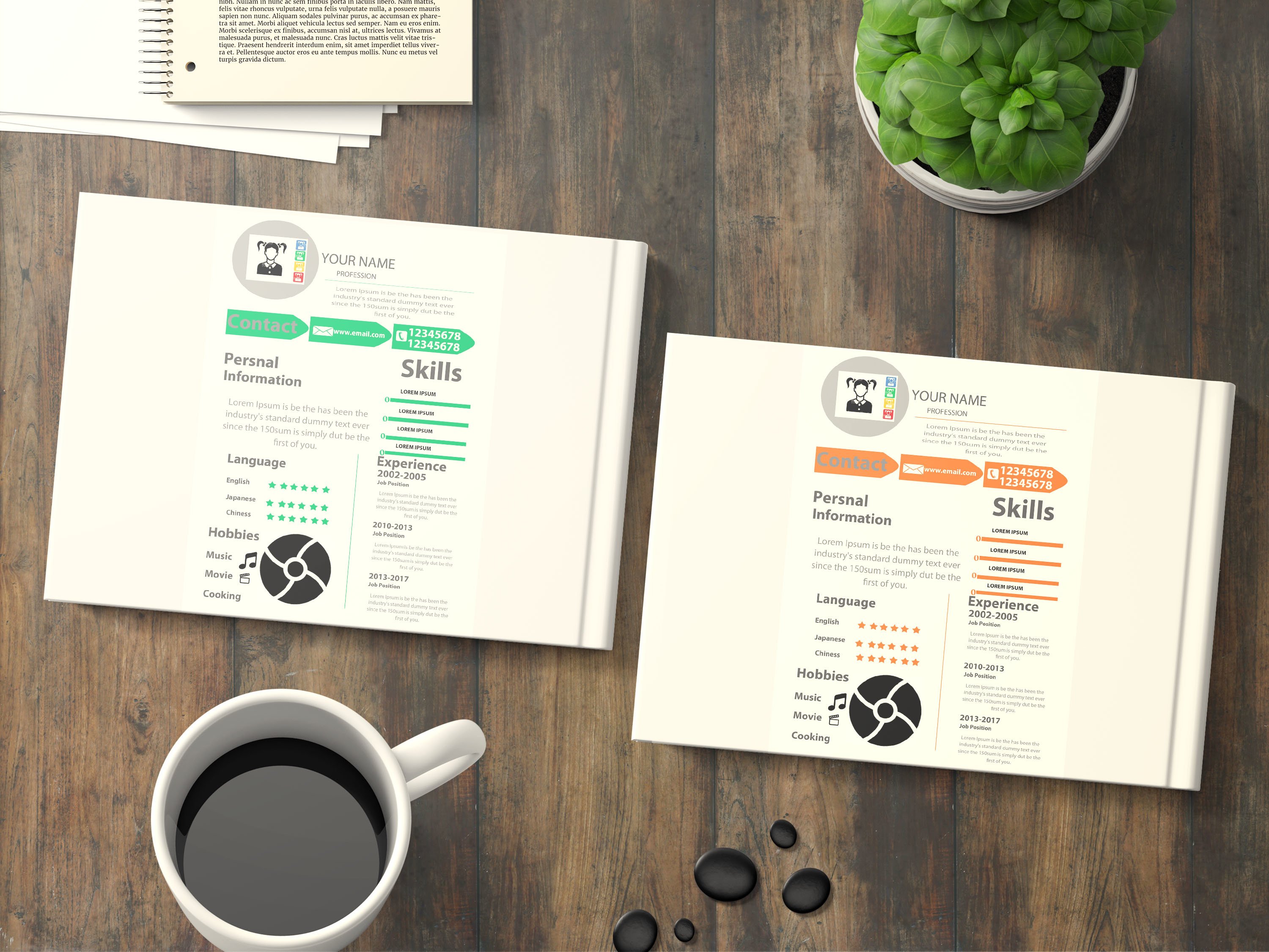 Resume Flyer (93817) | Flyers | Design Bundles