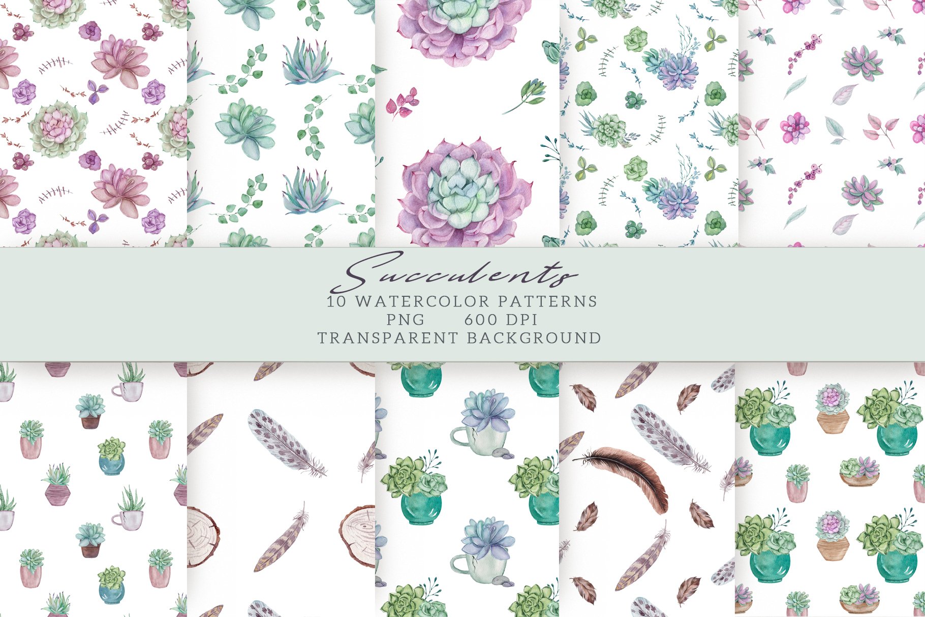 Succulents Seamless Patterns (514727) | Patterns | Design Bundles