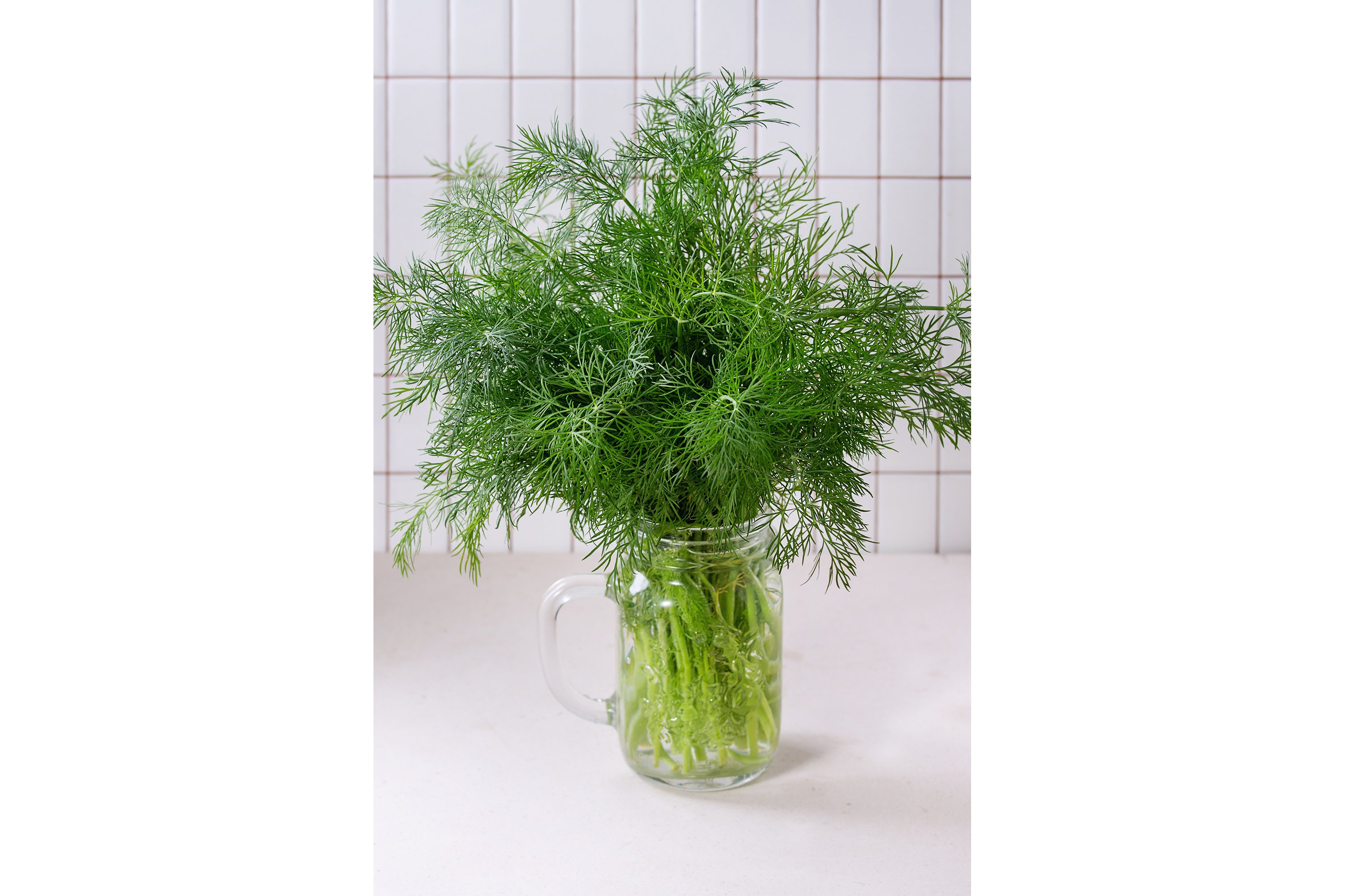 Fresh dill in jar (594580) Food and Drink Design Bundles