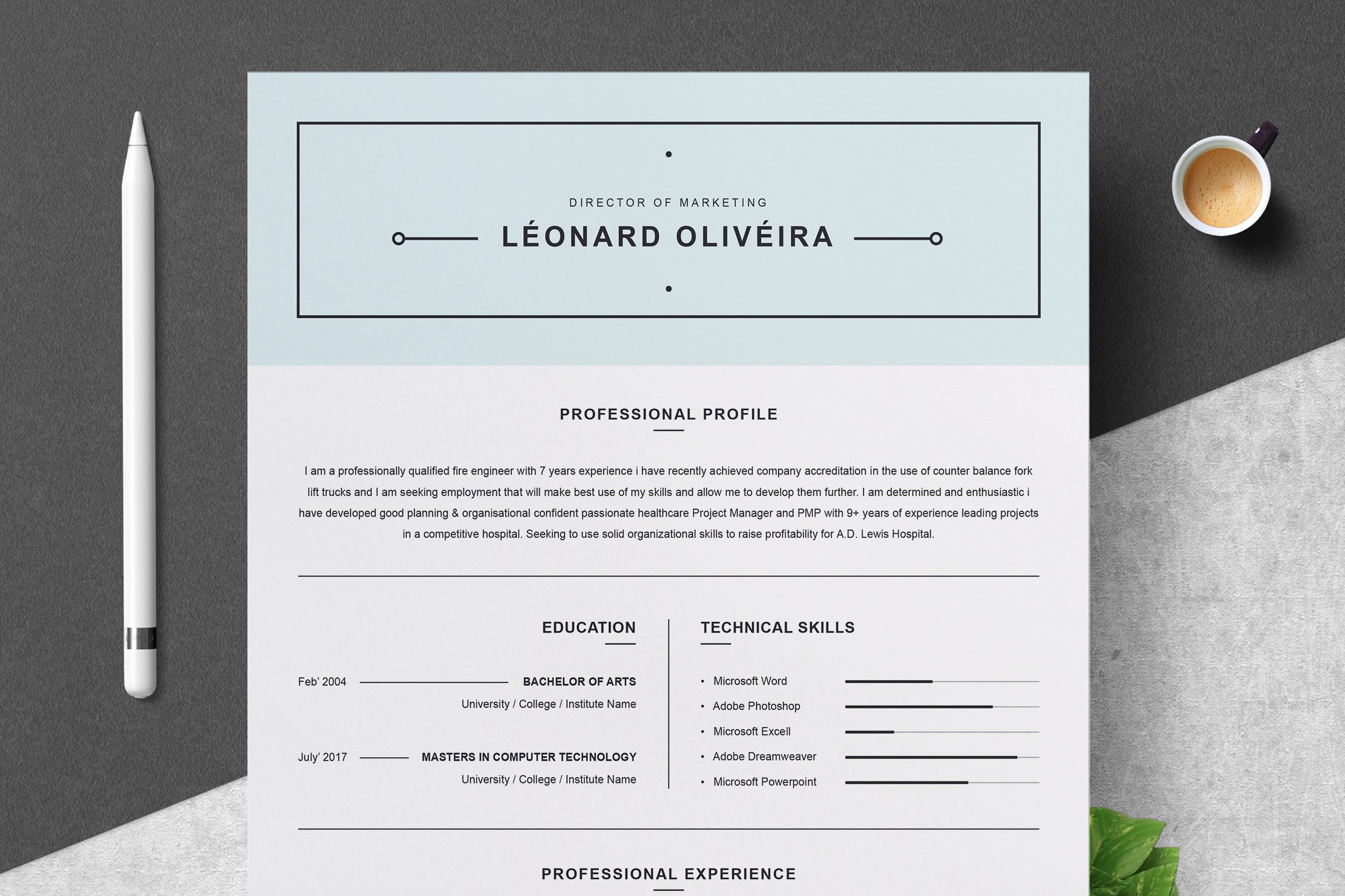 Clean Simple Resume Template Professional Resume Template Ms Word