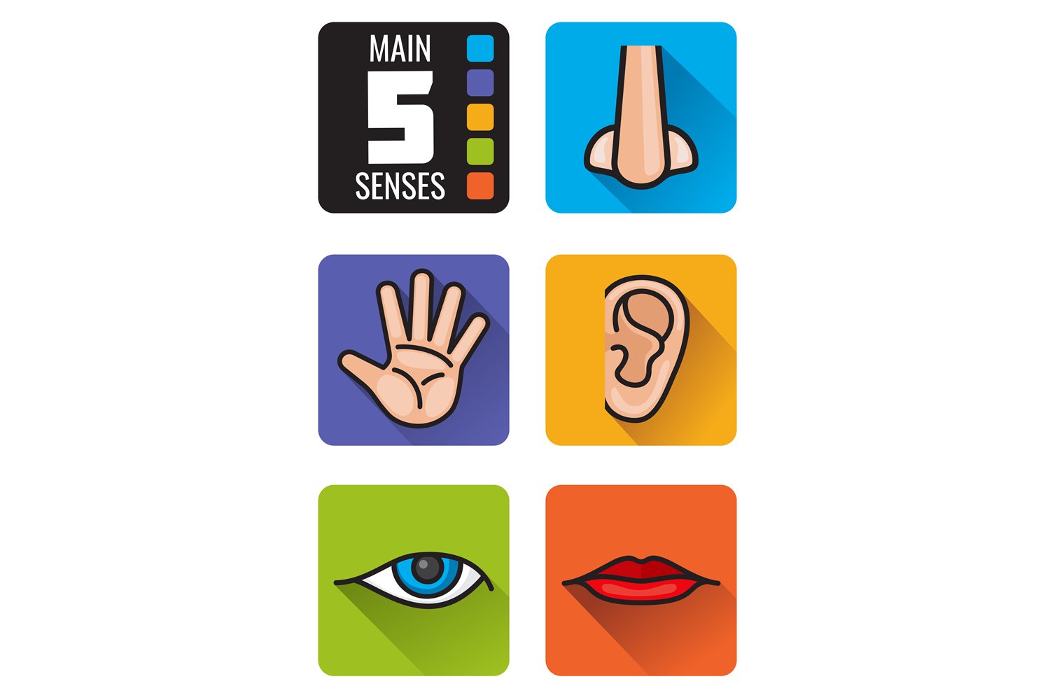 5 Senses Icon