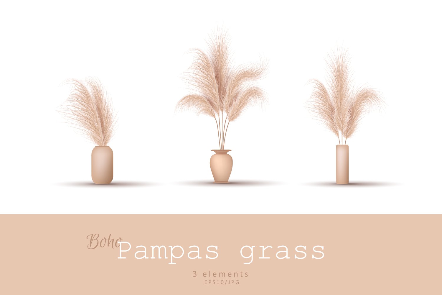 PAMPAS GRASS in vase. Vector set (1196967) Elements Design Bundles