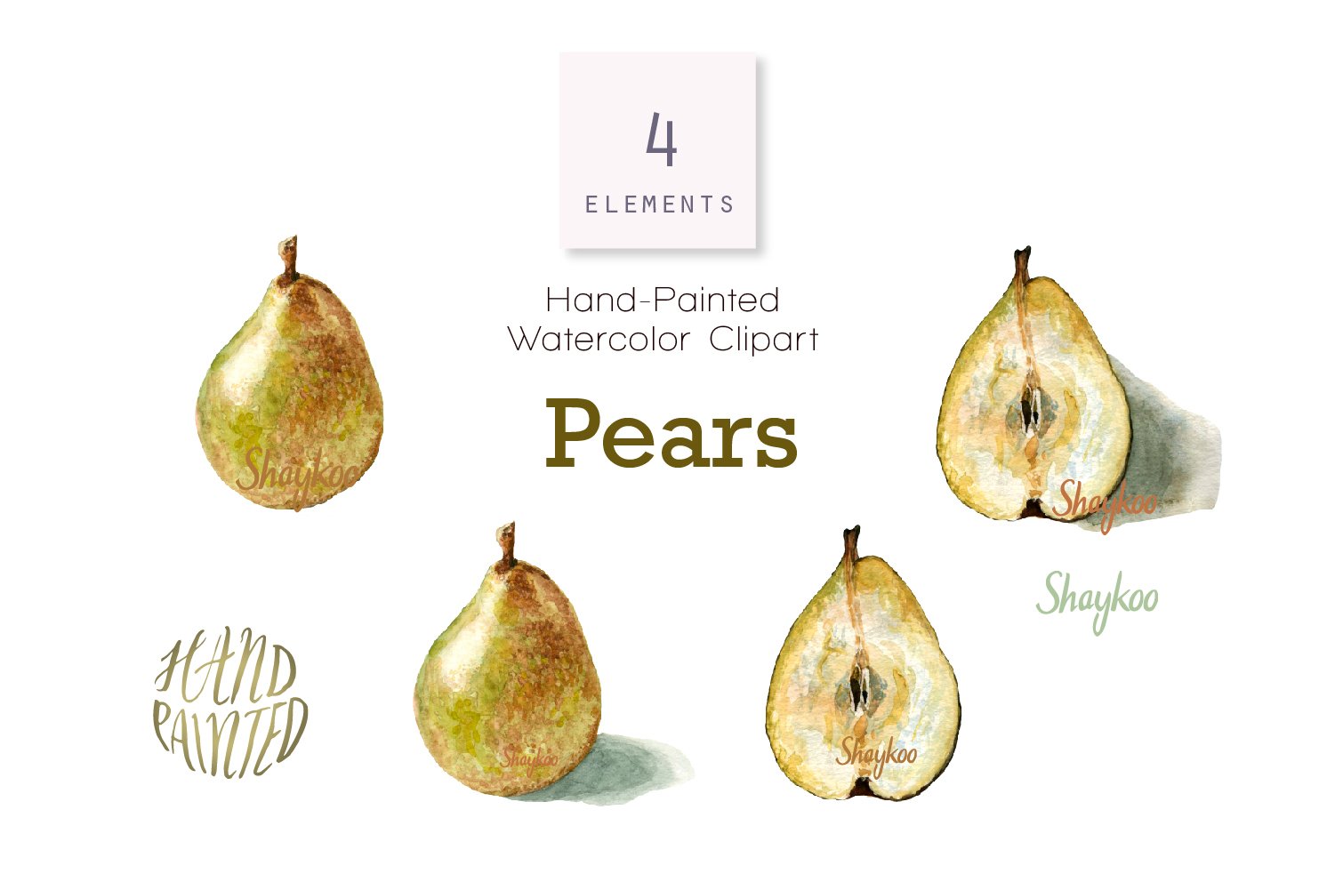 Pear Watercolor Clipart, Whole and Half Pear With Shadow (383751