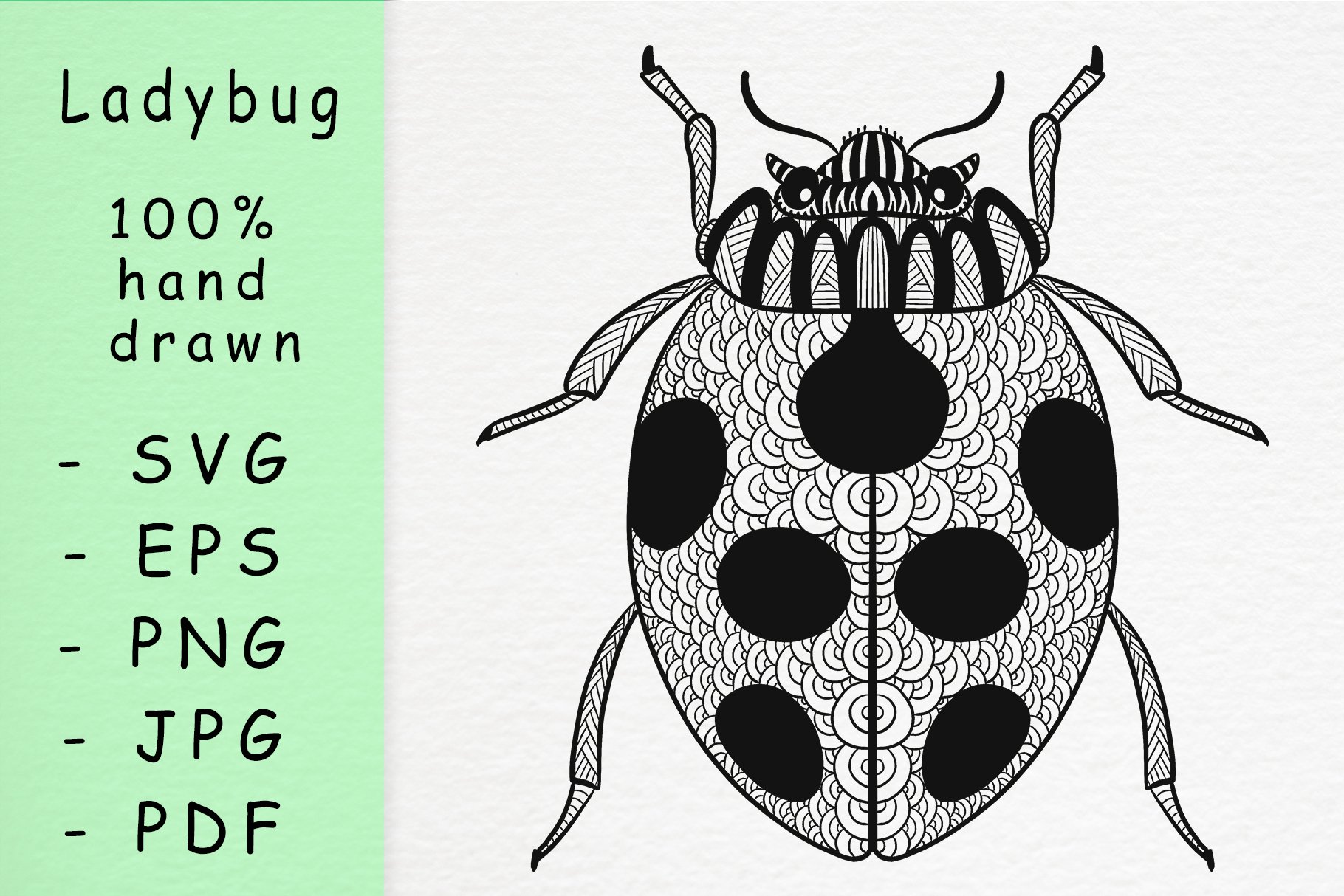 Hand drawn ladybug with nwcvqs Hand drawn ladybug with nwcvqs