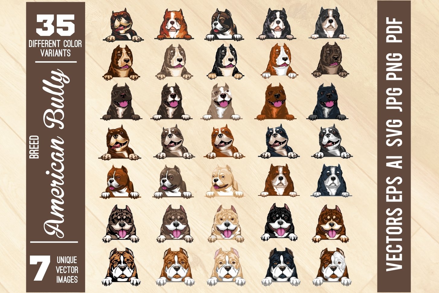 American Bully Set 35 Different varieties coat color dog