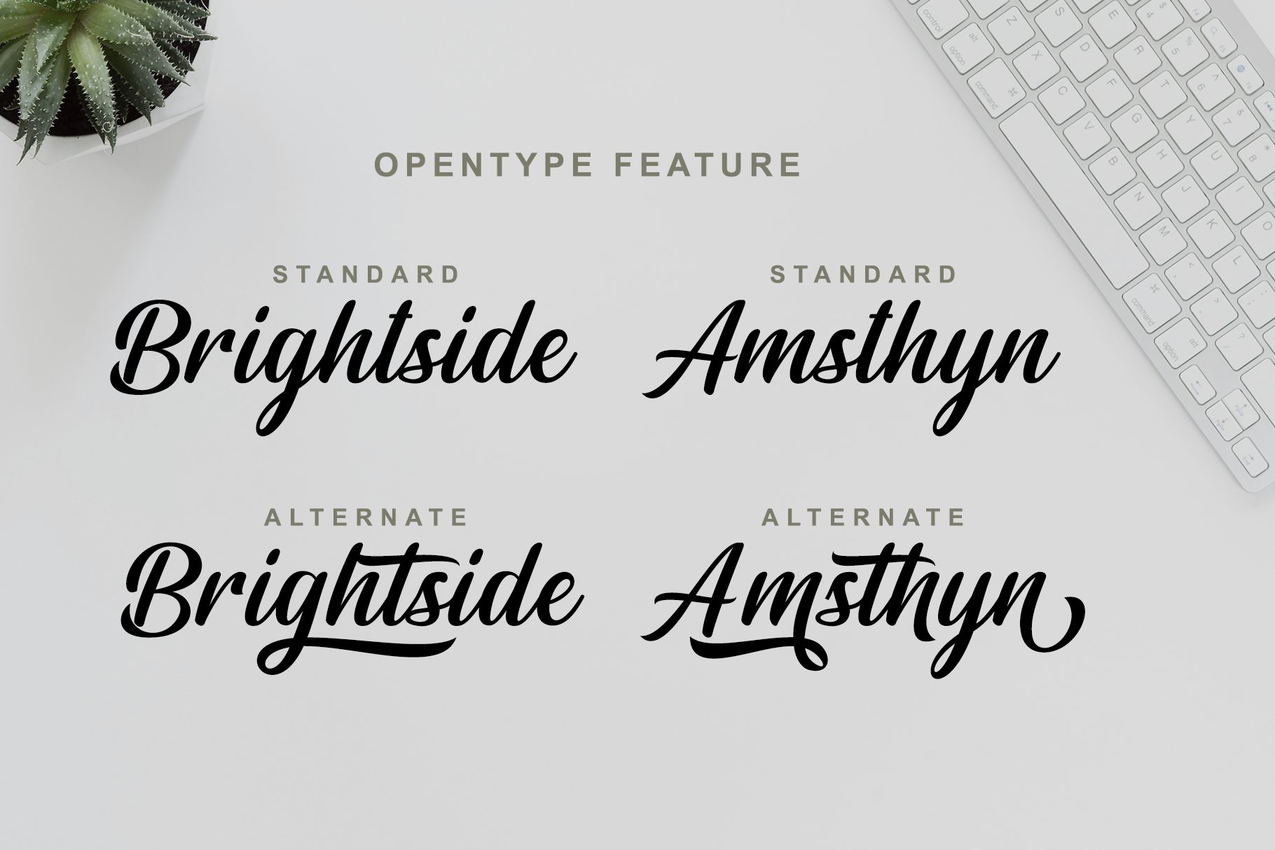 Awesome Script Bundle (488590) Calligraphy Font Bundles