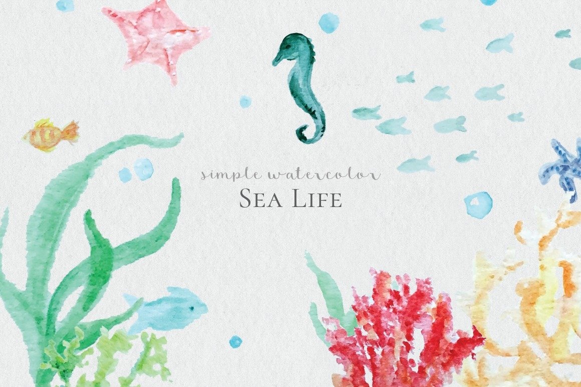 Watercolor Sea Life (2904)