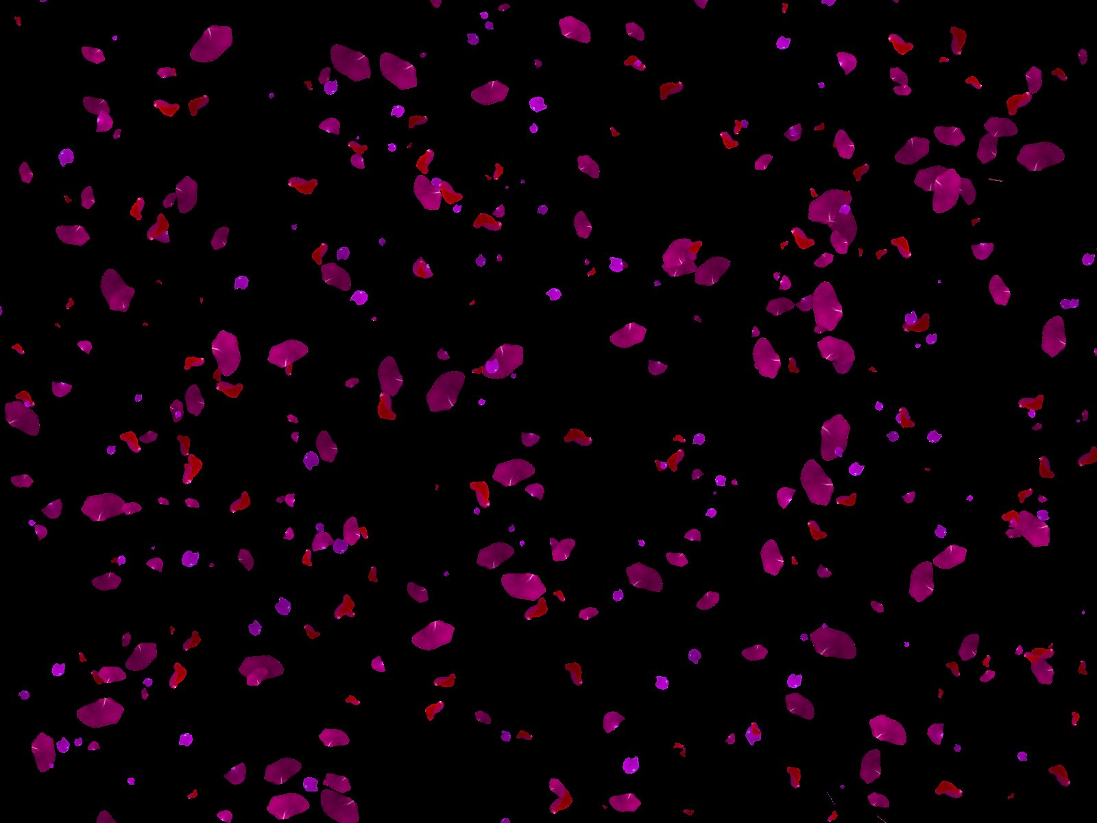 100 ROSE PETALS PNG PHOTOSHOP OVERLAYS BACKGROUNDS BACKDROPS (532225