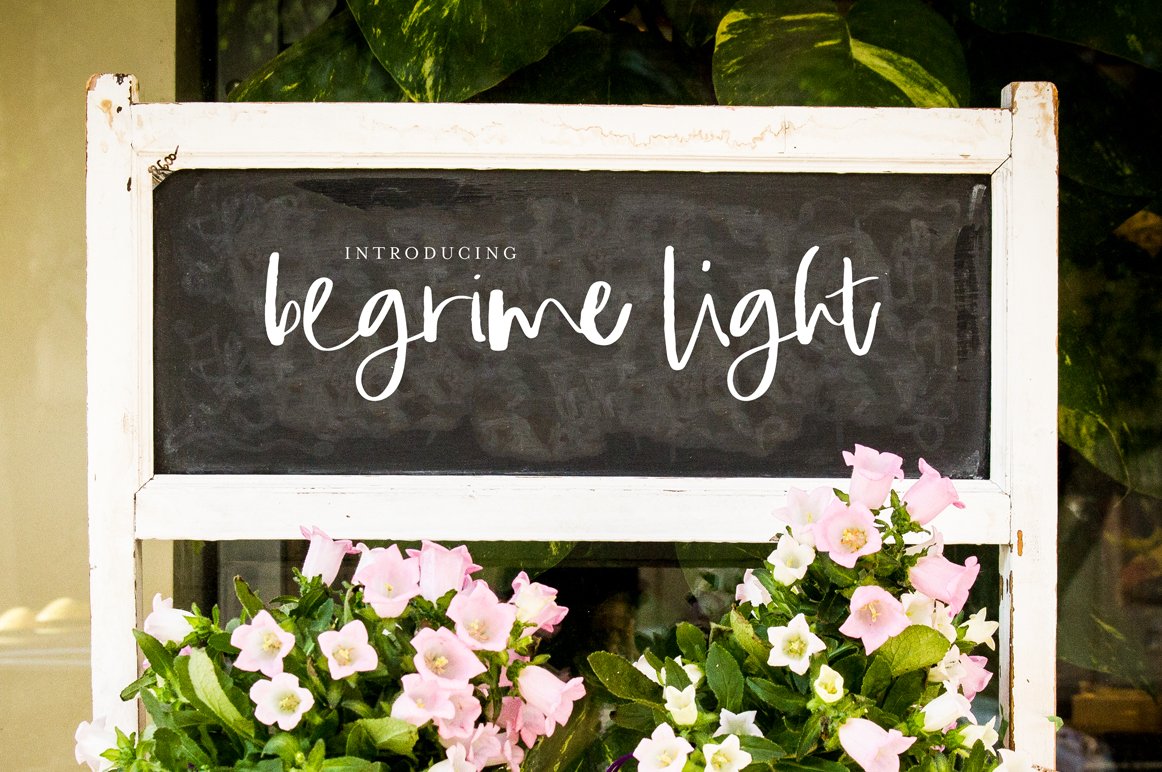 The Inked Bundle (12749) Script Font Bundles