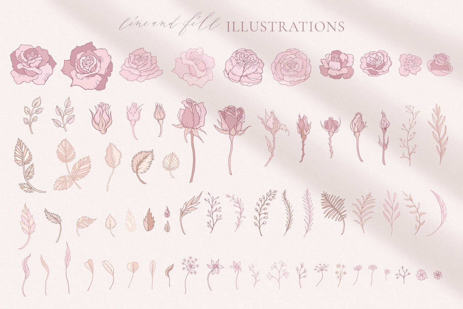 Rose Flower Patterns & Clipart (478153) Illustrations Design Bundles