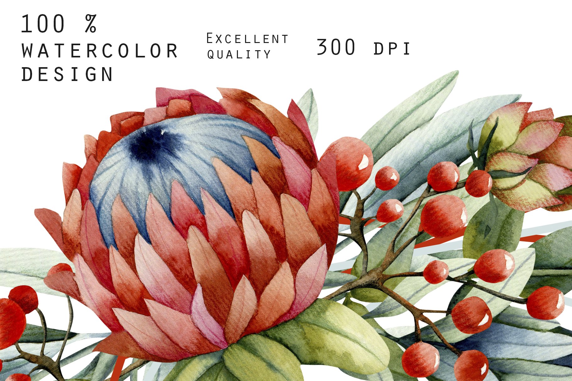 プロテア スサラ 4 2025年最新】プロテア スザーラの人気アイテム - メルカリ