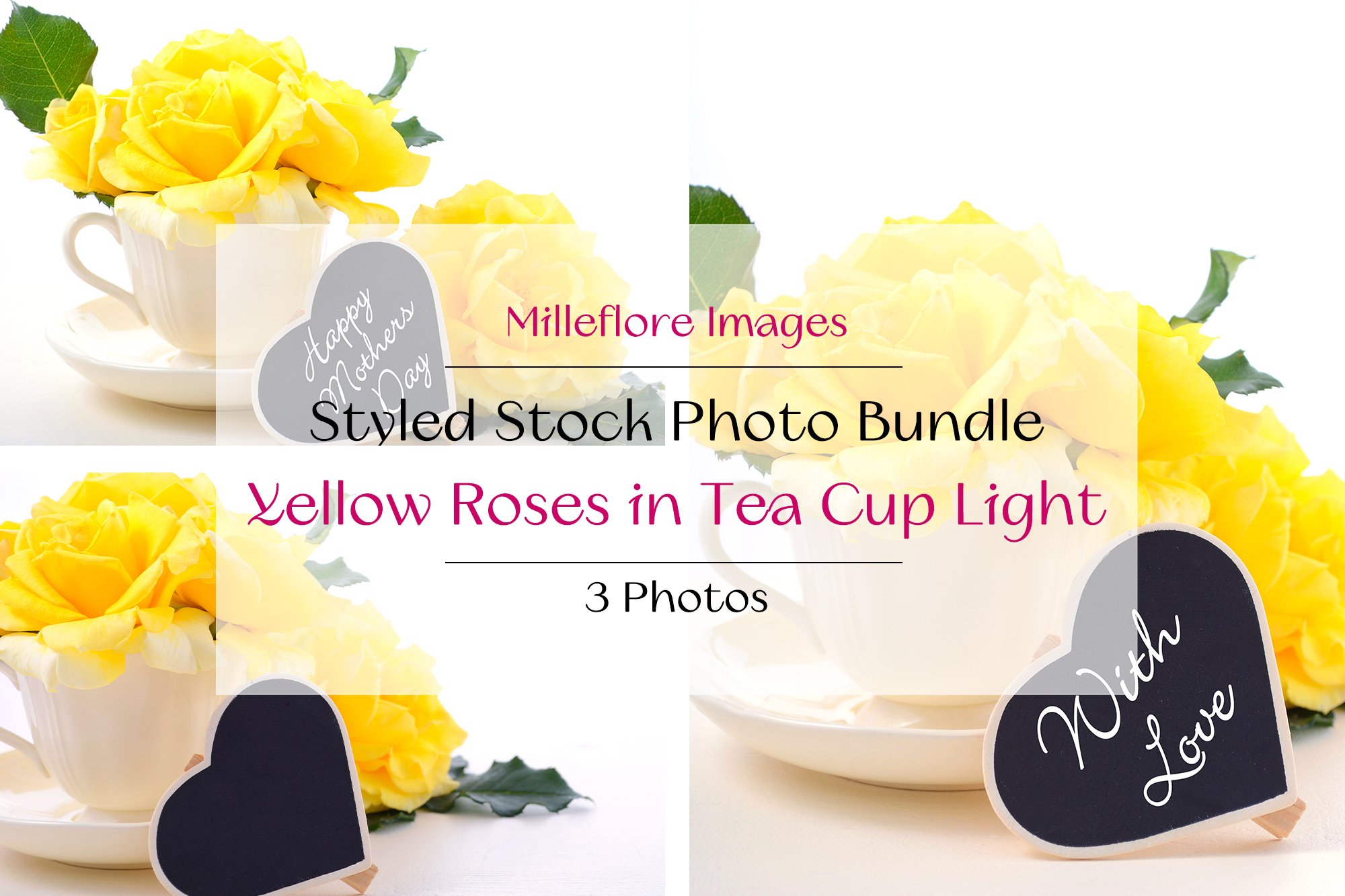 Yellow Roses in Tea Cup & Gift Tag. 3 Pack Photos Bundle. (1256192