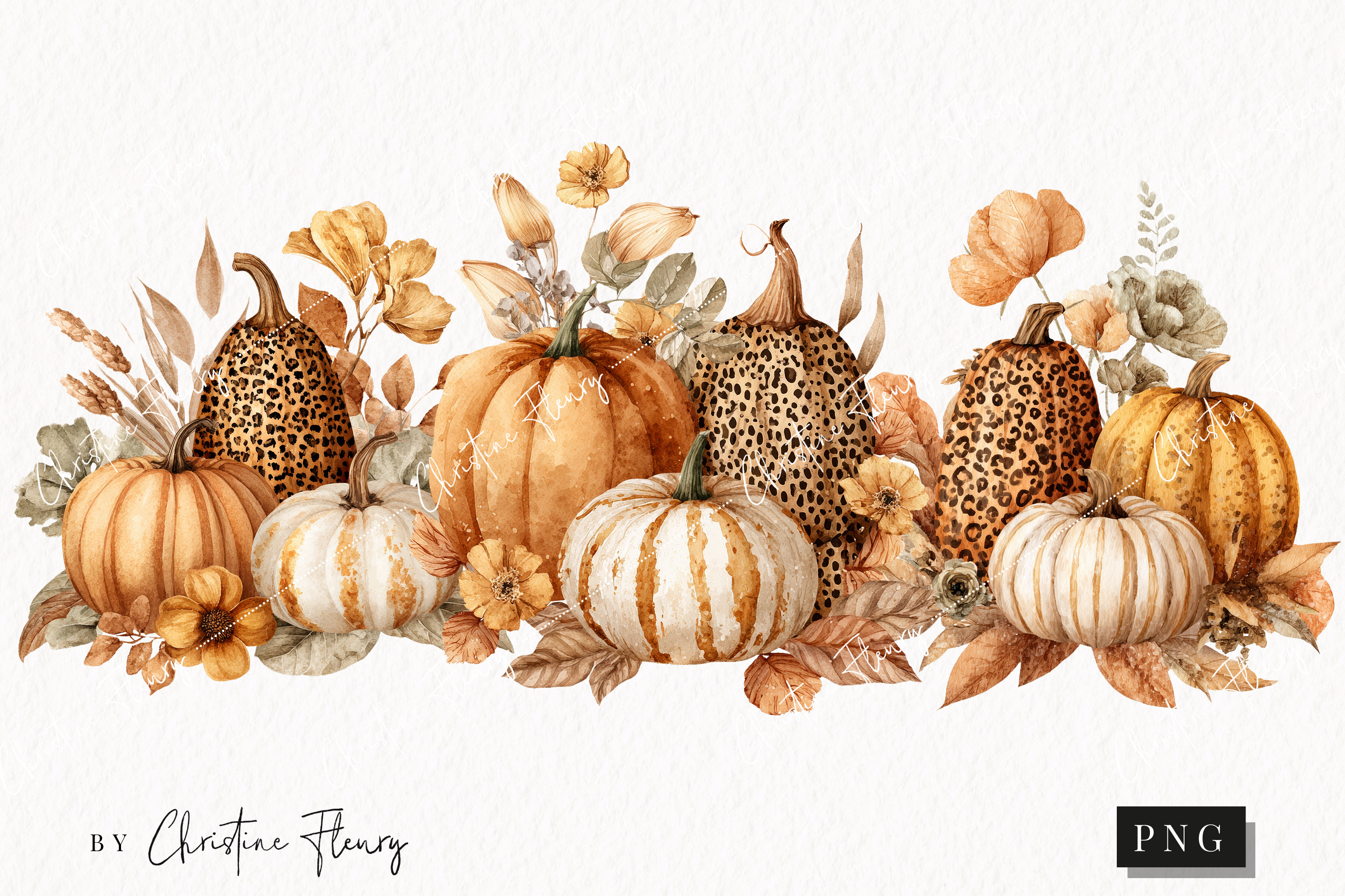 Boho Fall Pumpkins PNG | Fall PNG (5947412), image size:3000x2000