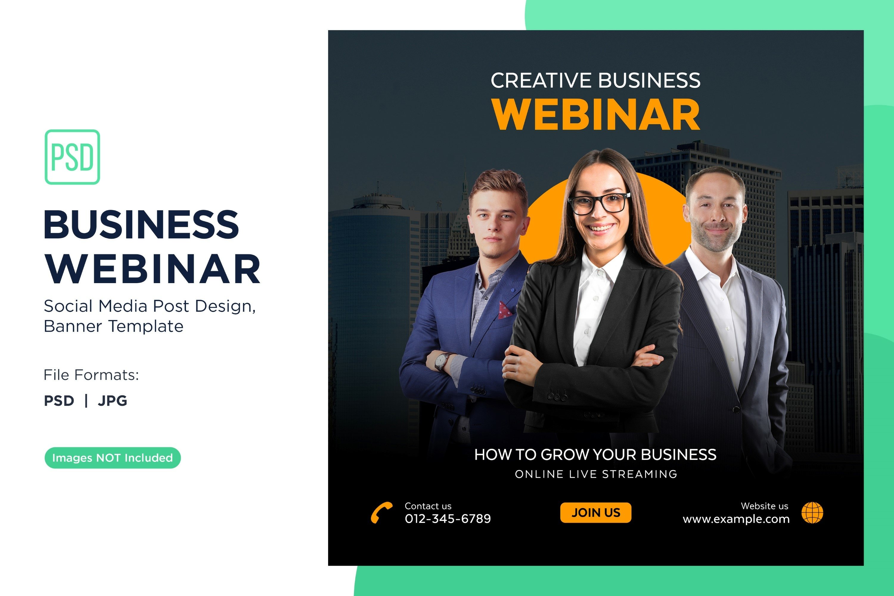 Business Webinar Social Media Banner Design (3992926)