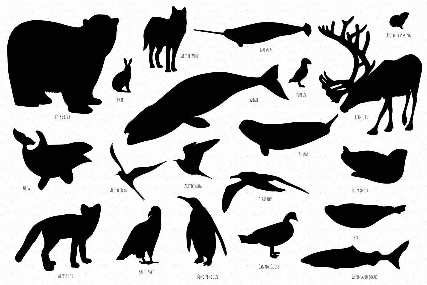 Polar animals set