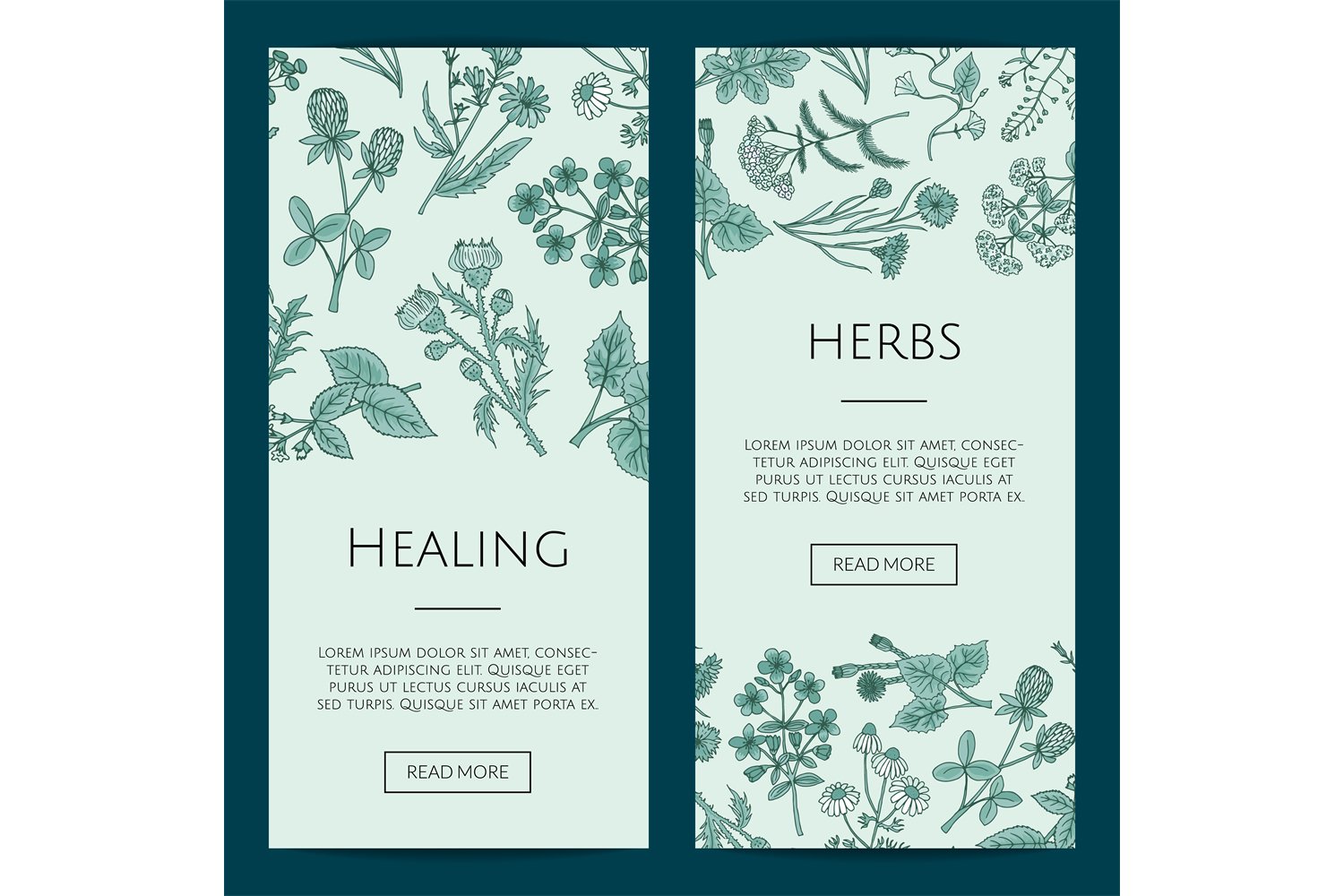 Vector hand drawn medical herbs web banner templates illustr (873188 ...