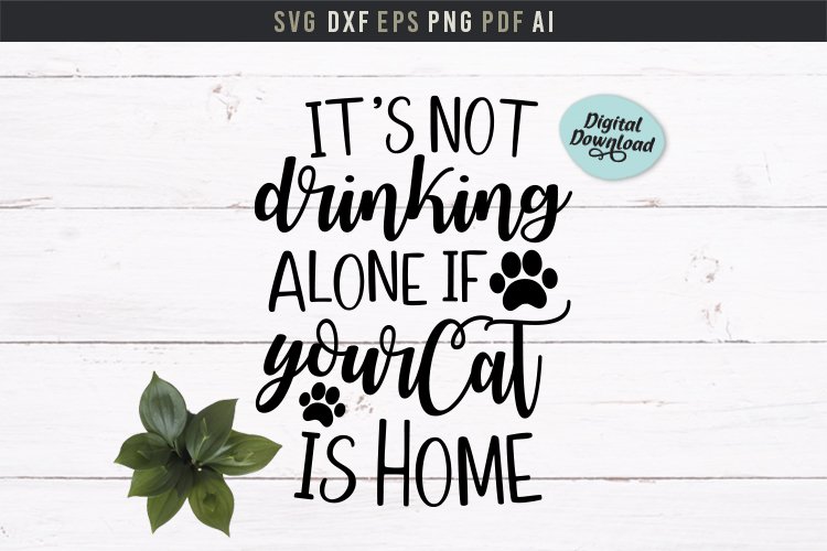 home not alone