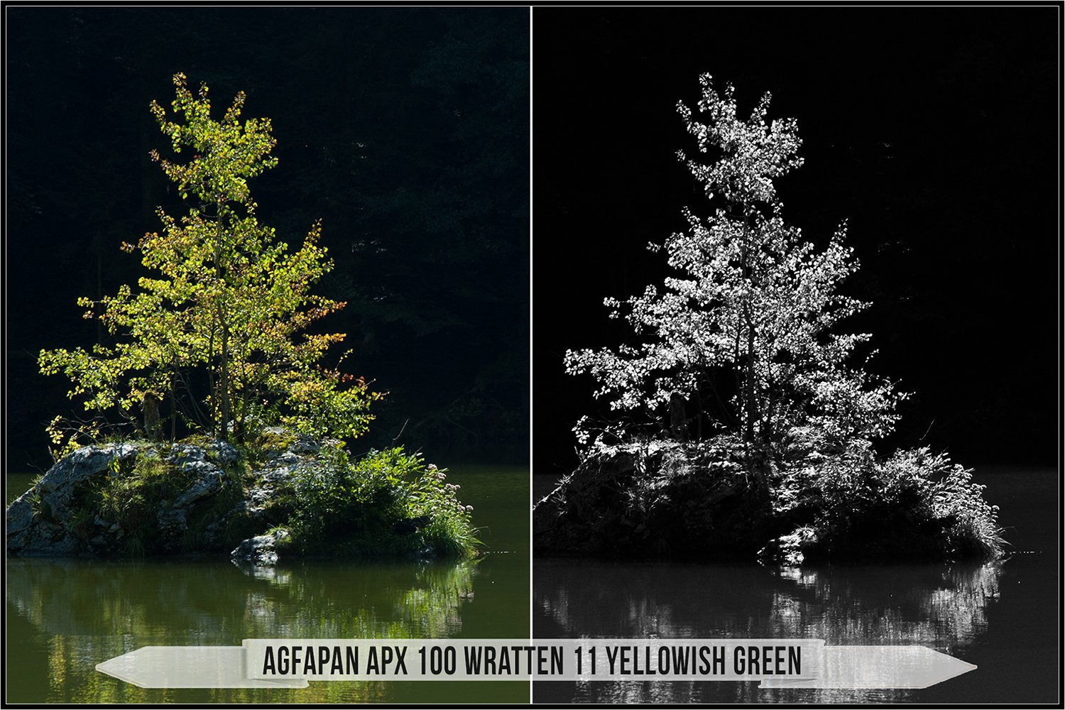 AGFA Black and White Film LUTs (542508) Plugins Design Bundles