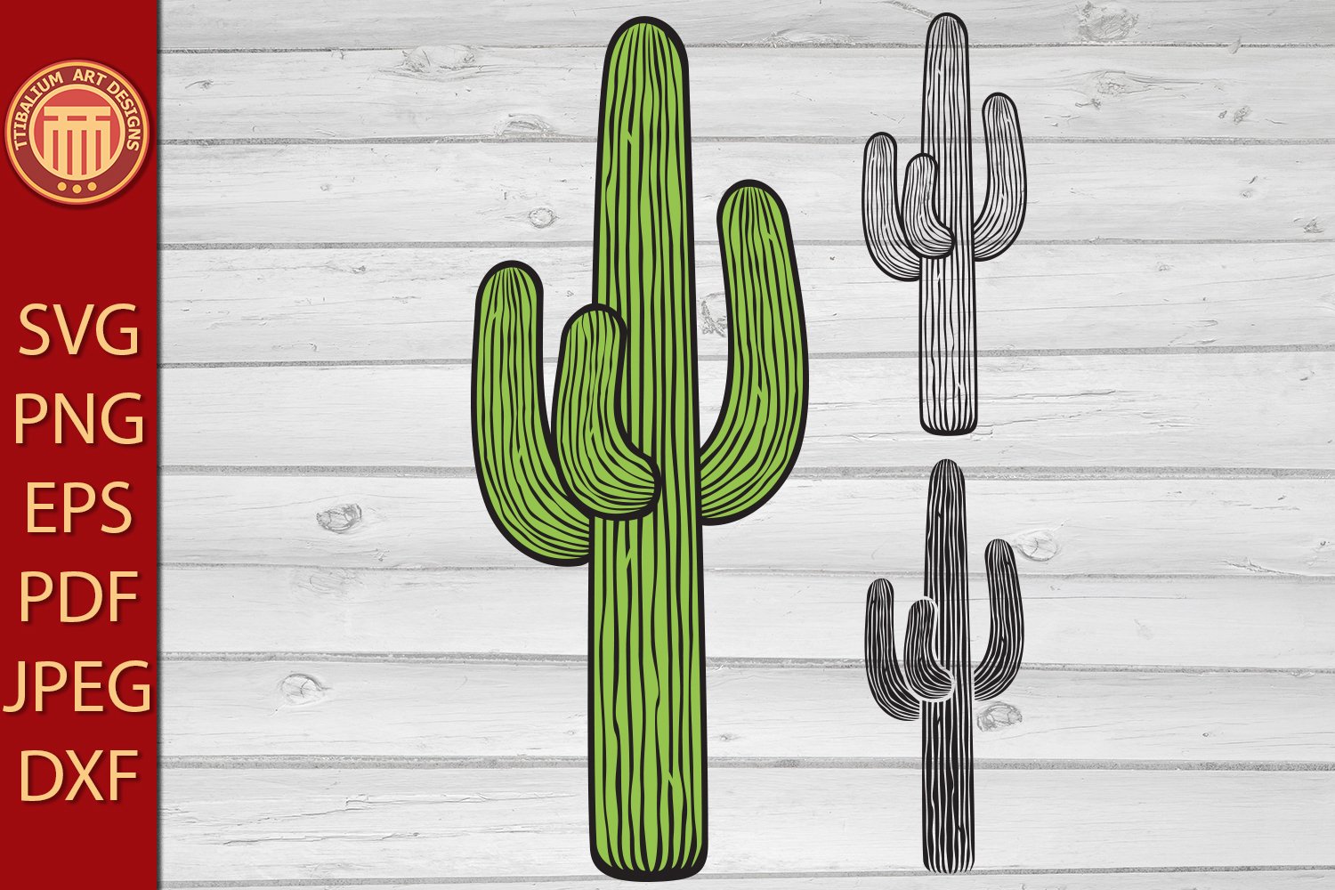 cactus-all-