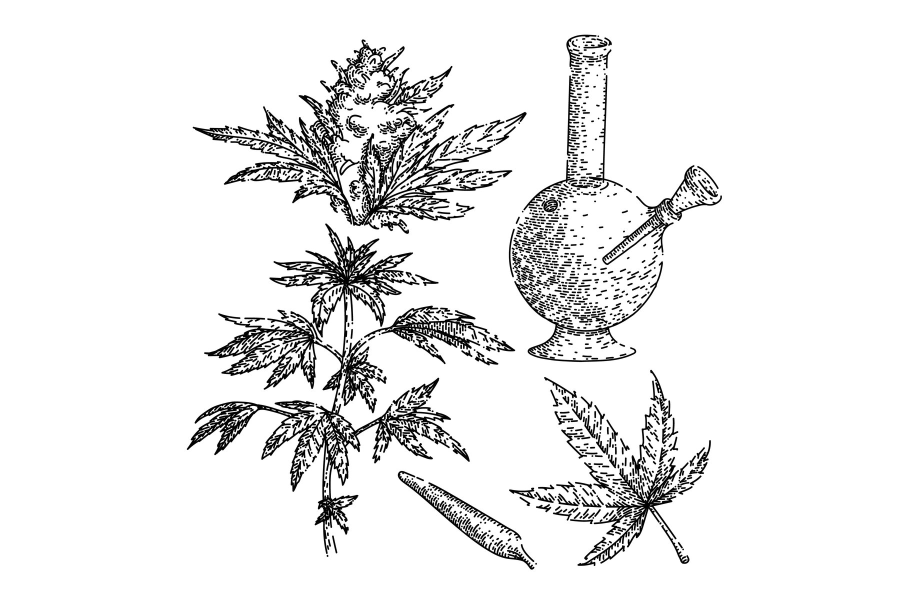 Weed Draw Weed Plant Drawing
