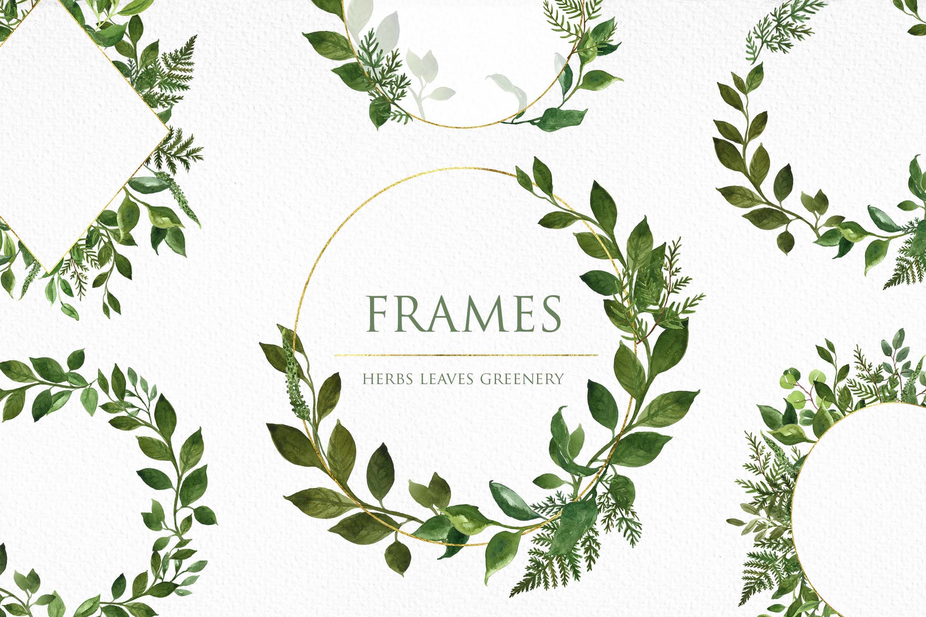 Watercolor Greenery Leaves Leaf Frame Frames Borders Clipart 597174