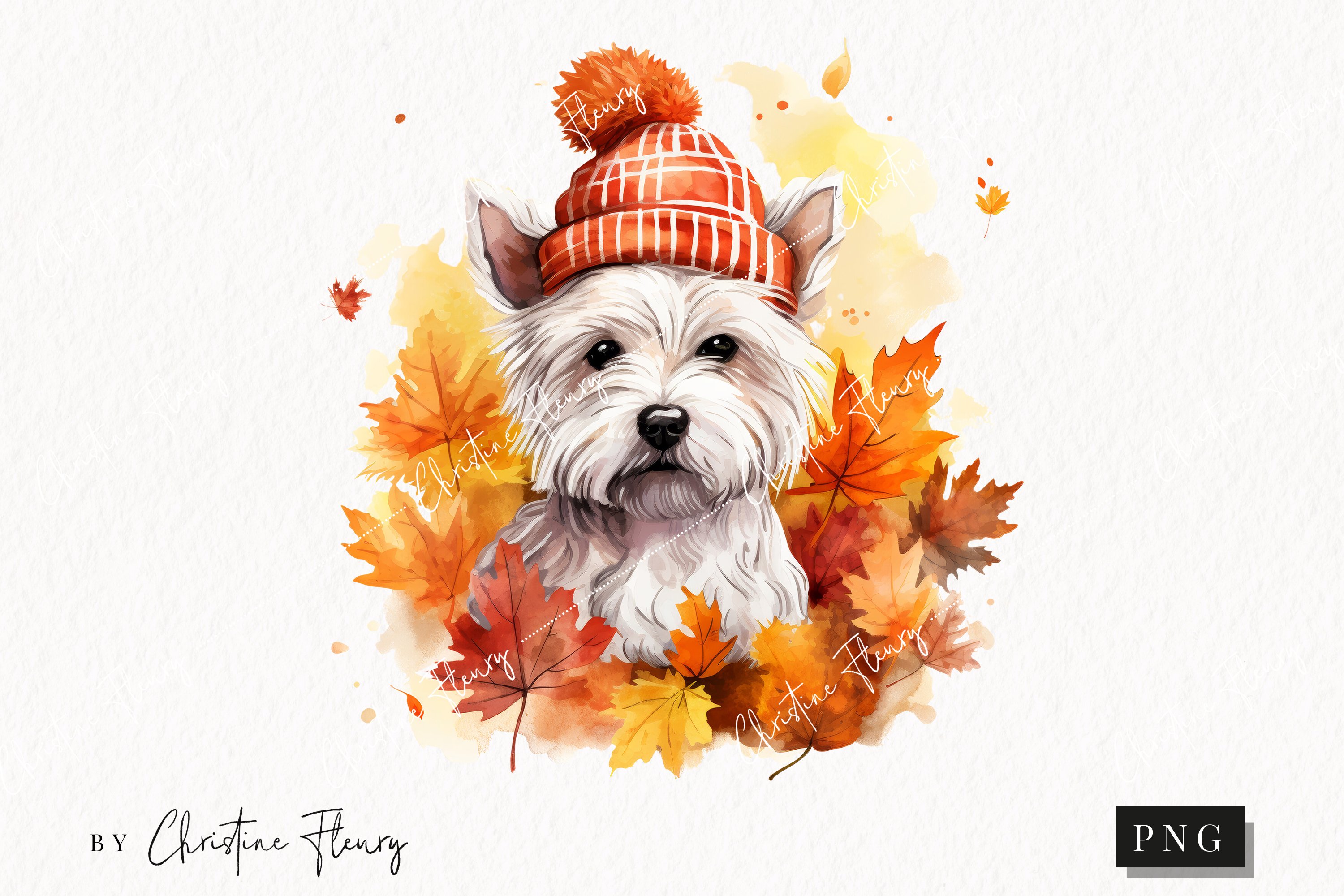 Fall Dog West Highland White Terrier Fall PNG