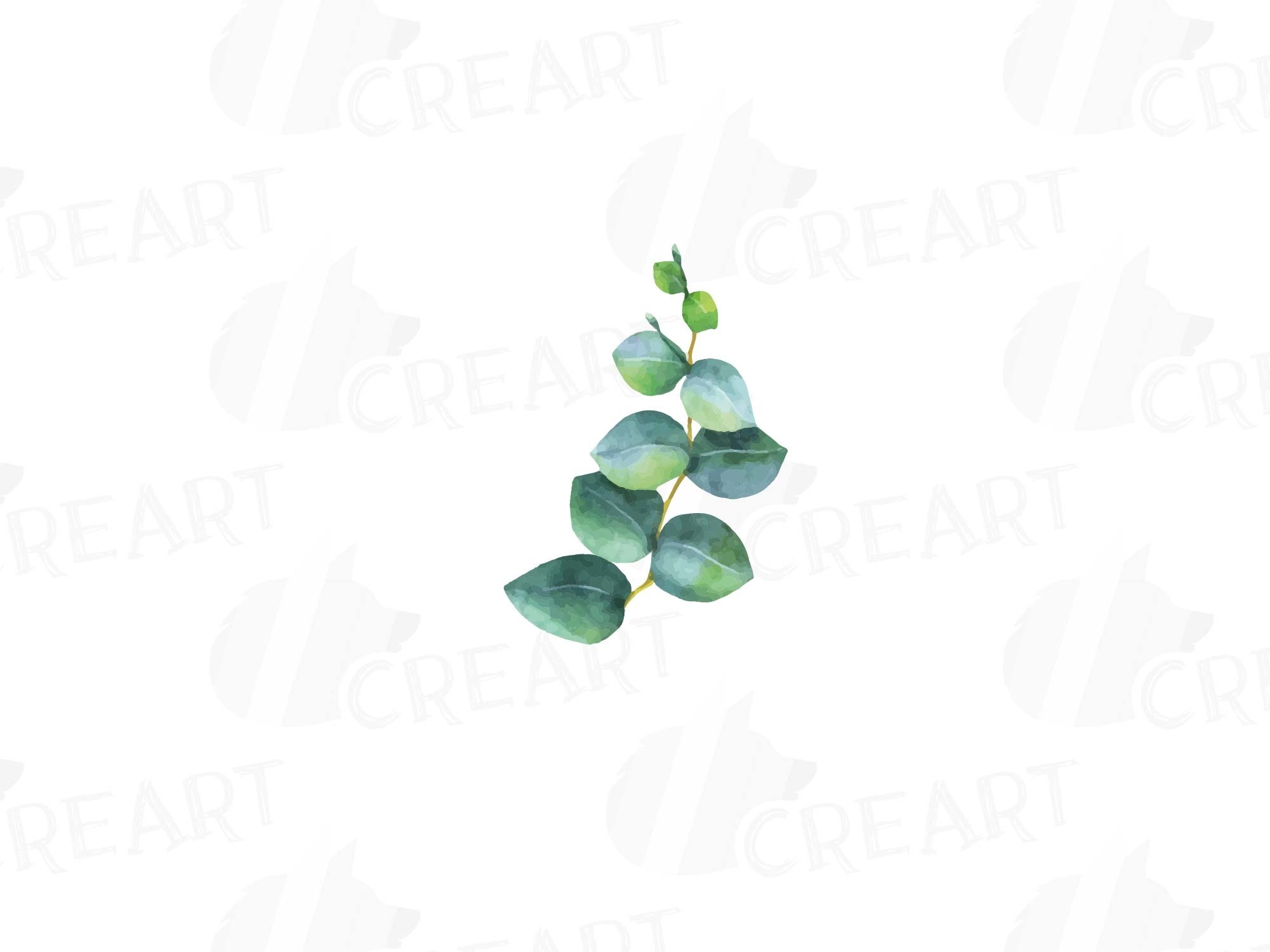 Eucalyptus leaves and branches watercolor clip art pack, Eucalyptus