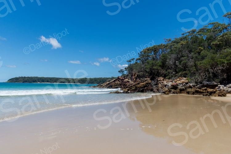 Tropical Paradise Beach Background Nature Design Bundles