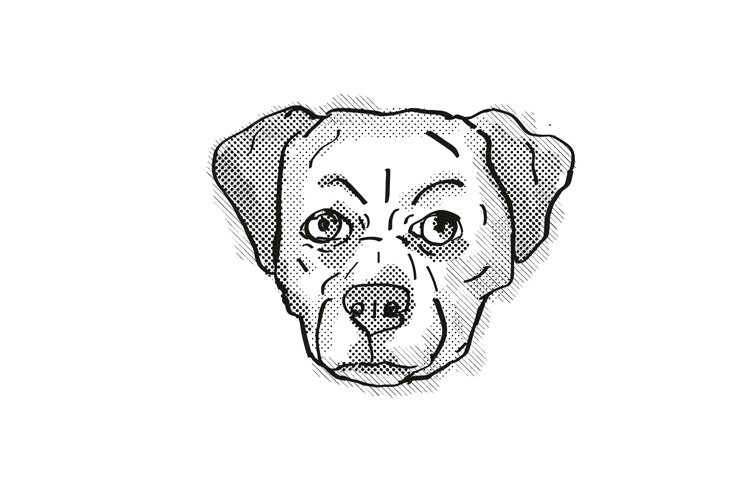Chug Pughuahua, or Pugwawa Breed Cartoon Retro Drawing