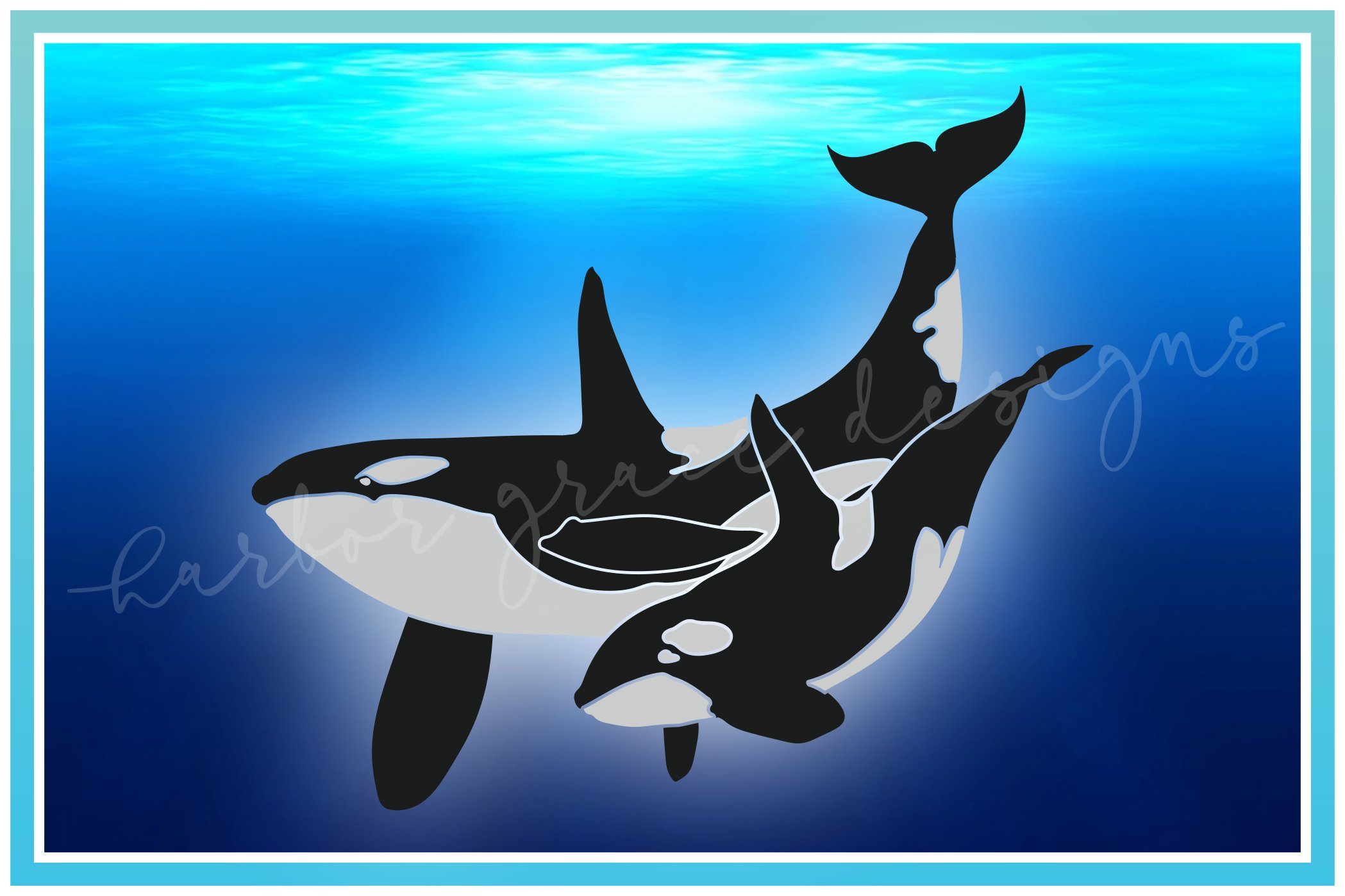 Orca Mother And Baby Calf |Killer Whale | Nautical SVG (60497) | SVGs ...