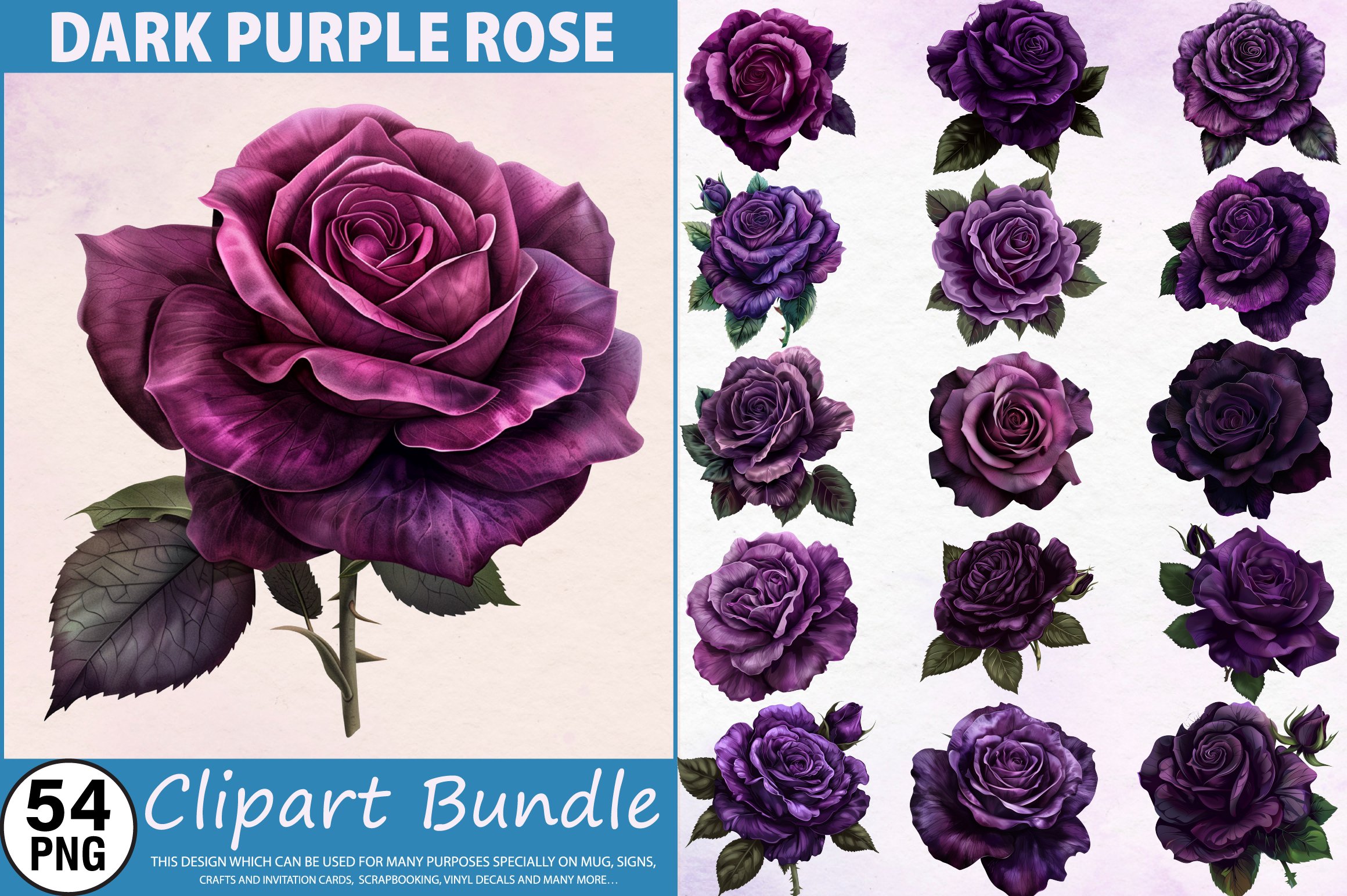 Purple Roses Brochure Pink And Purple Roses Clipart