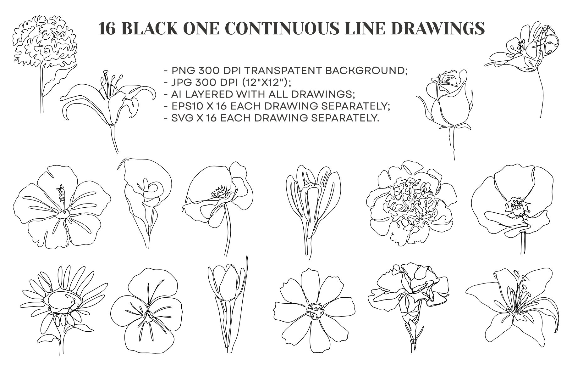 Continuous Line Drawing Flower