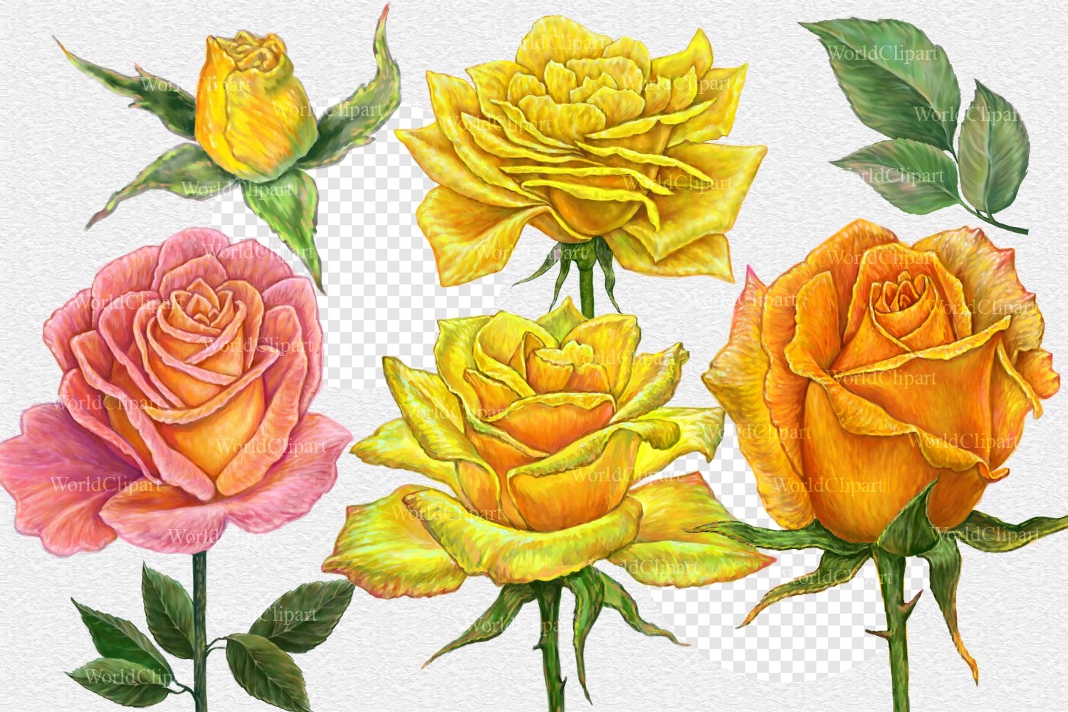 Yellow Roses PNG Clipart (668405), image size:1500x1000