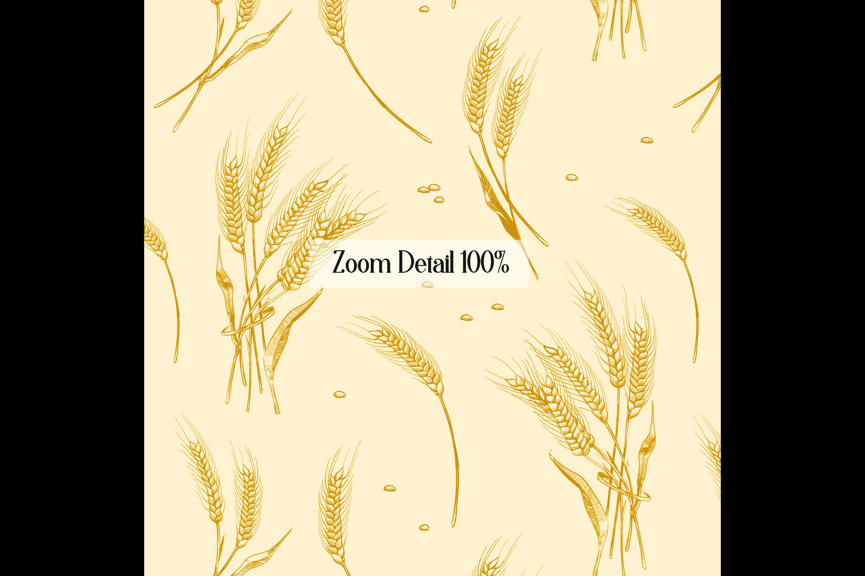 Characteristics of wheat image