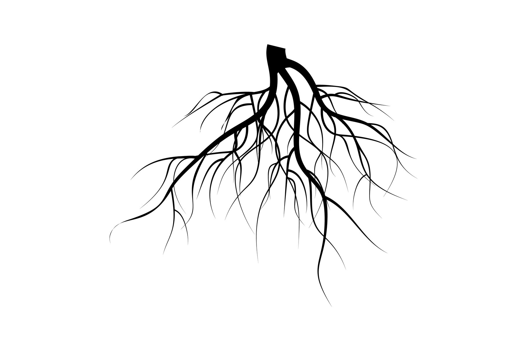 Simple Black And White Tree With Roots