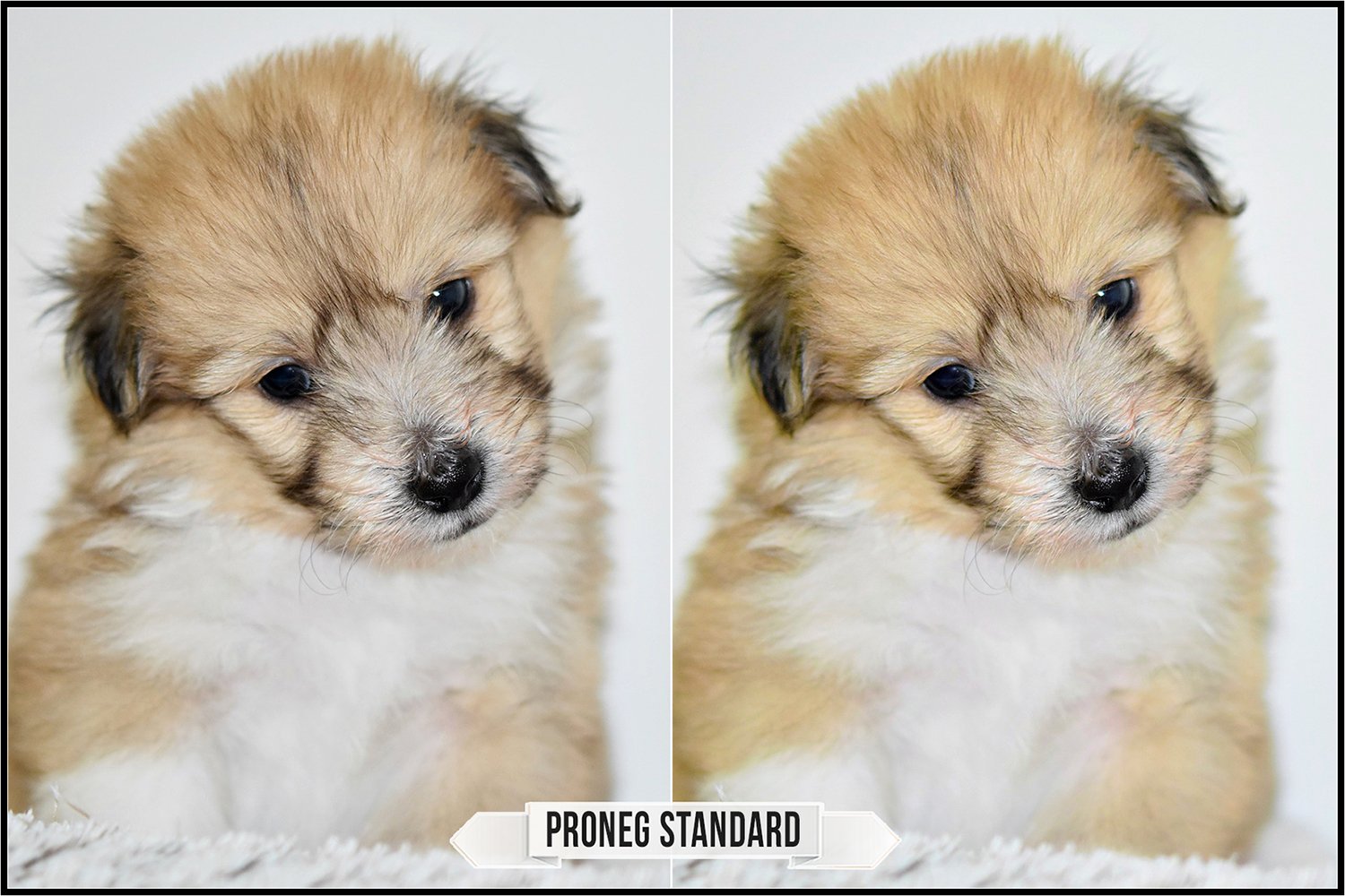 Fuji Film Simulation Modes Profiles LR 7.3 ACR 10.3 (142291