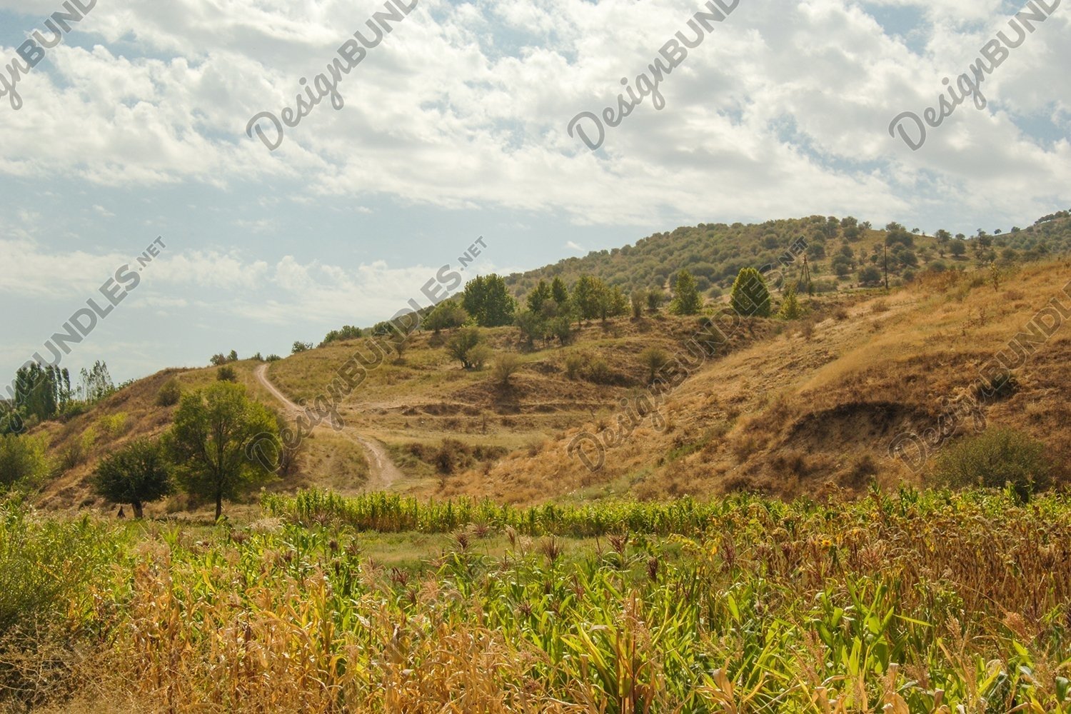 Landscape With Plains And Mountains Nature Of Central Asia 982589 Nature Design Bundles