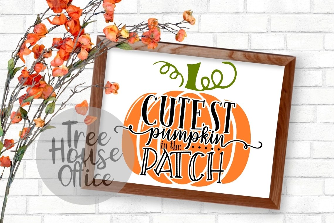 Download Cutest Pumpkin In The Patch Fall Autumn Baby Svg Png Jpeg 371813 Svgs Design Bundles