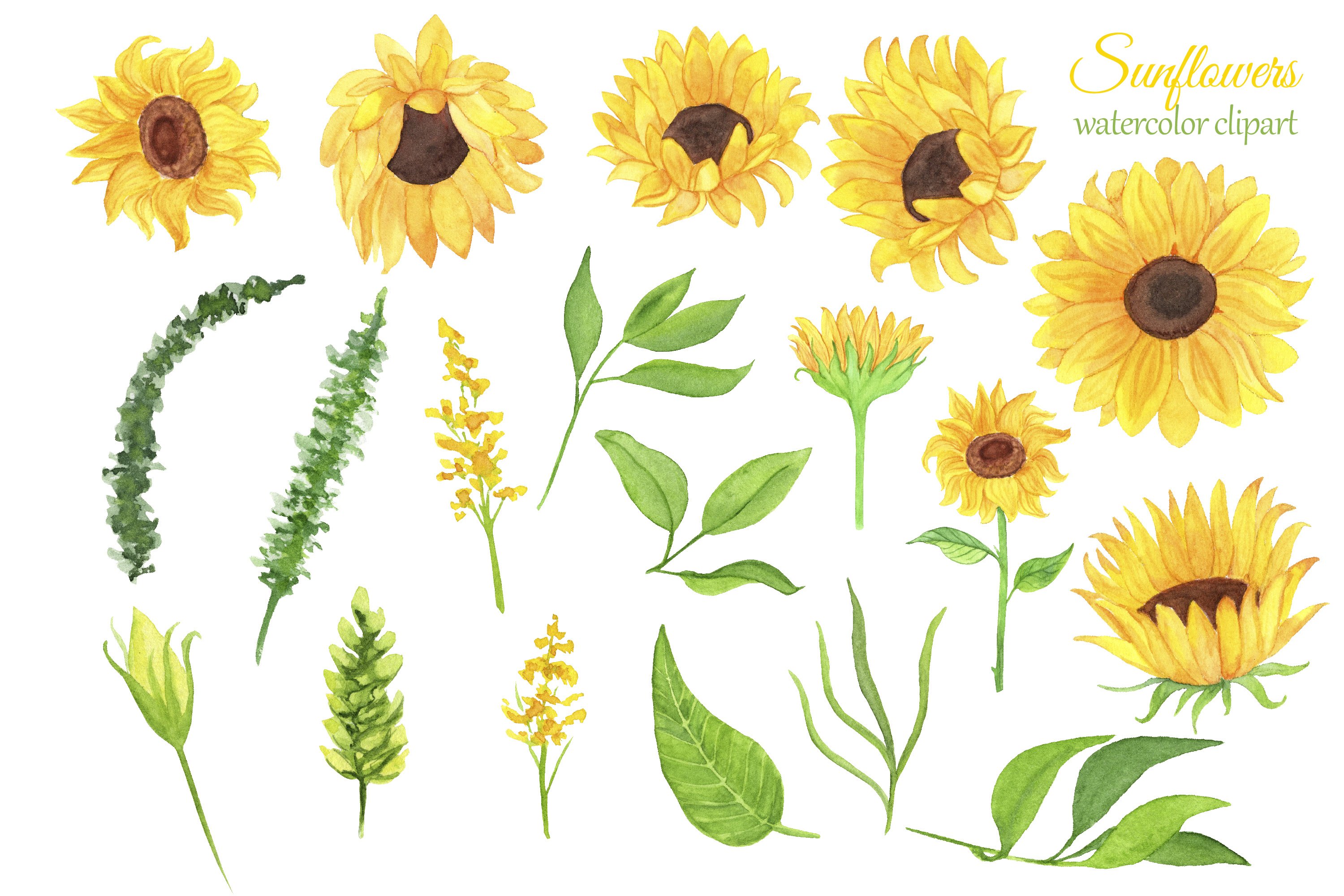 Sunflowers Watercolor Clipart (724788) Illustrations Design Bundles