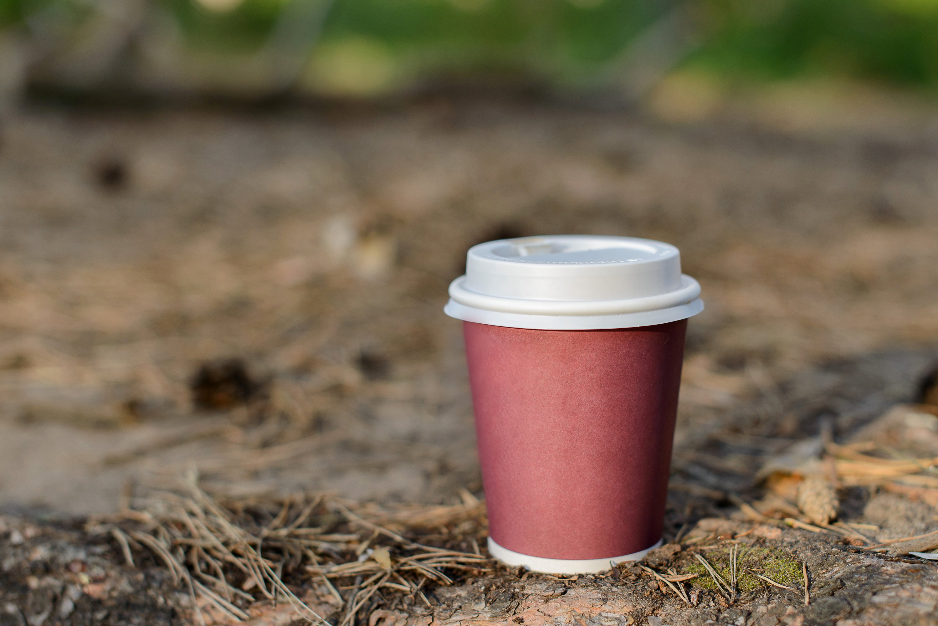 Coffee in a paper Cup (623618) Food and Drink Design Bundles