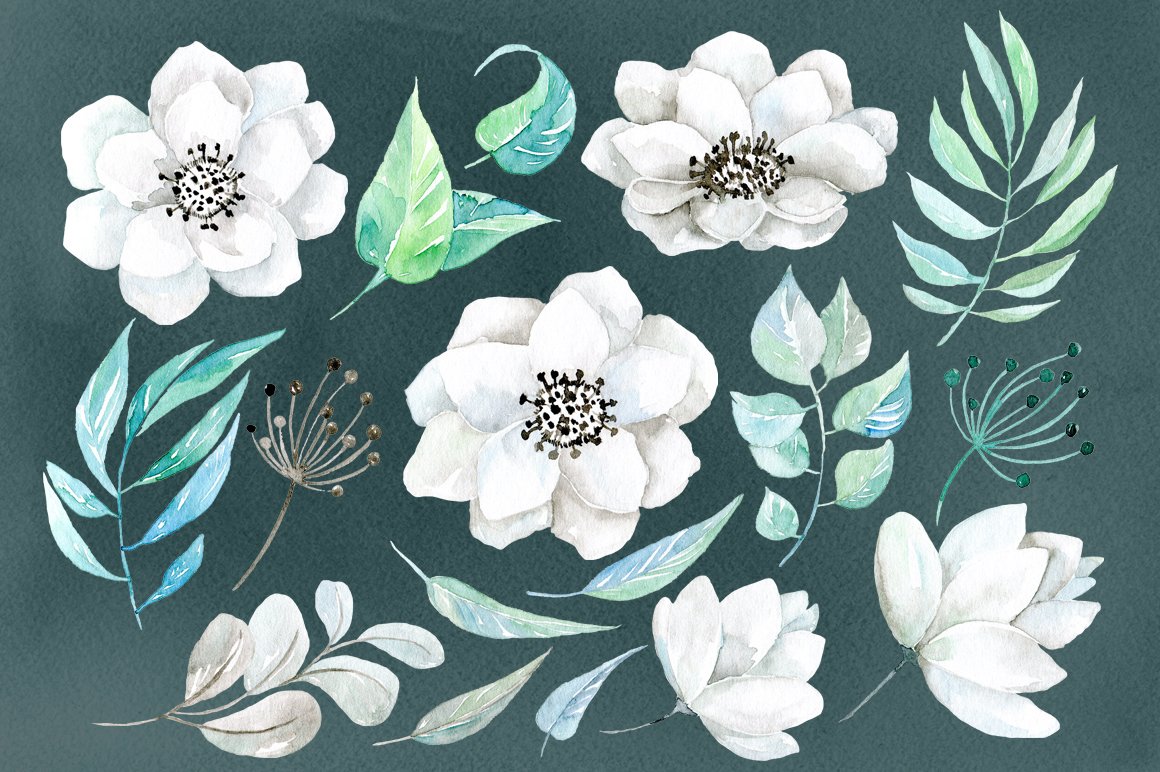 Watercolor white flowers 38 png (21805) | Illustrations | Design Bundles