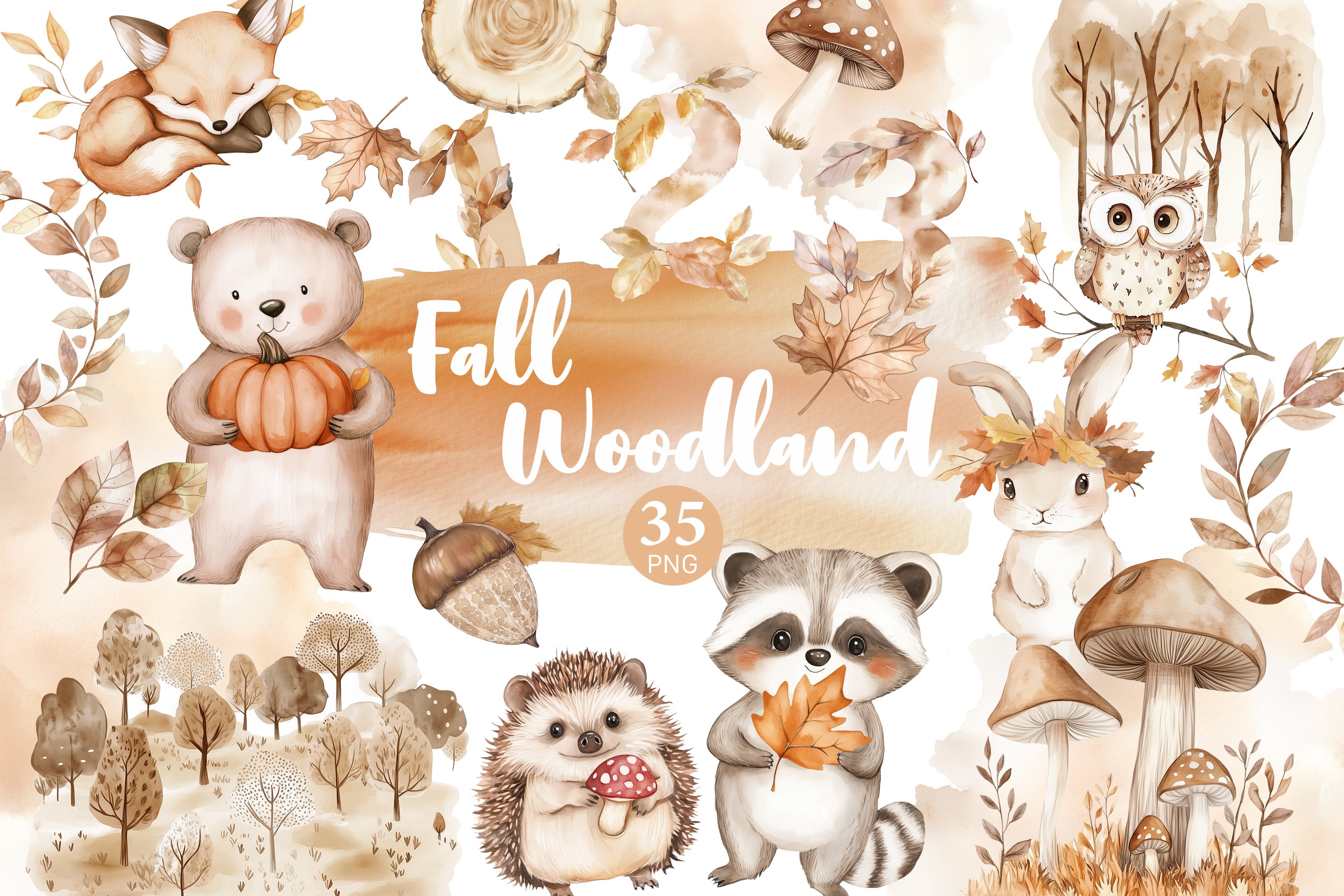 Fall Woodland Clipart Baby Shower PNG Collection - Main Image