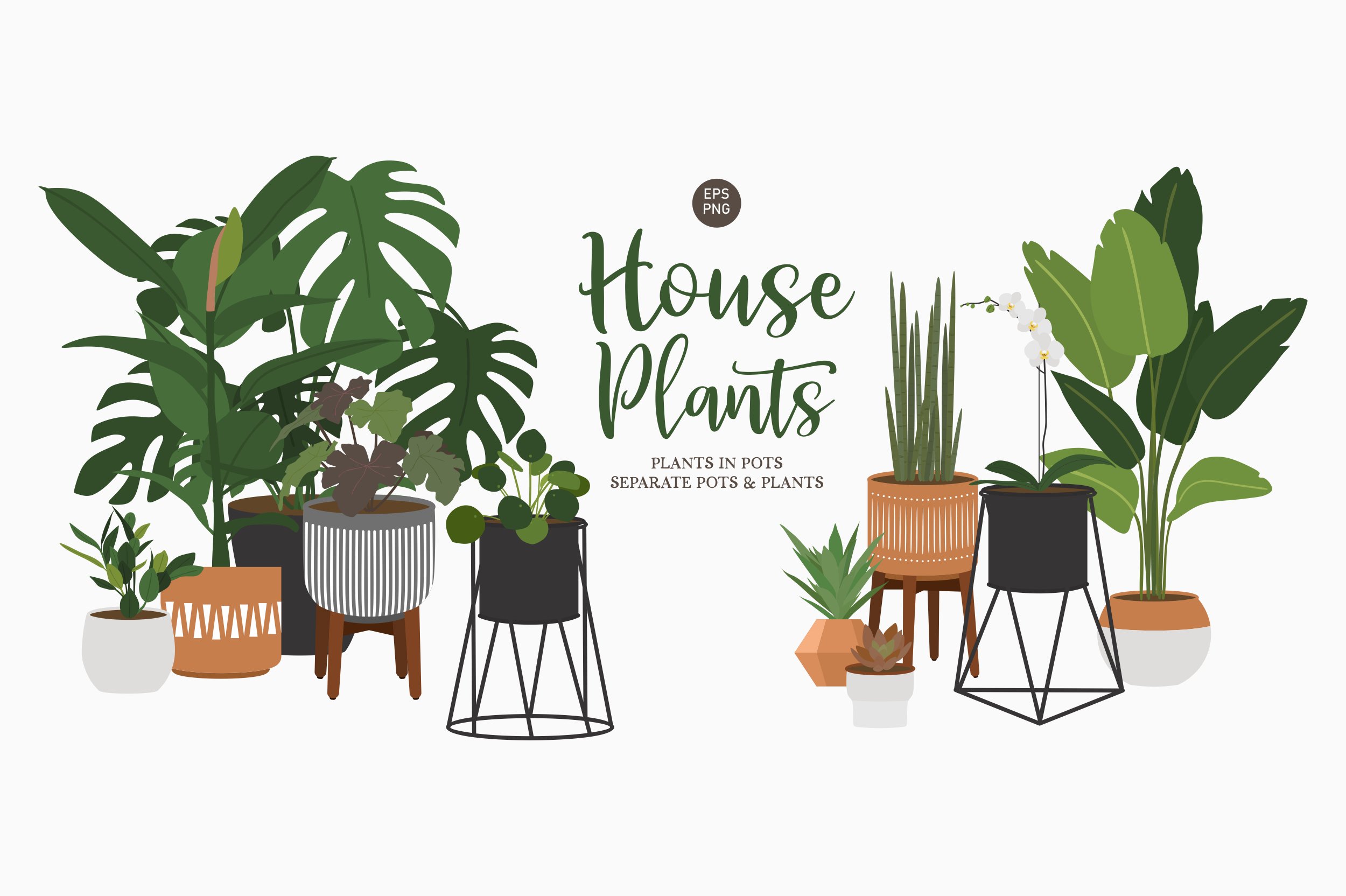 Indoor House Plant Clip Art (799897)