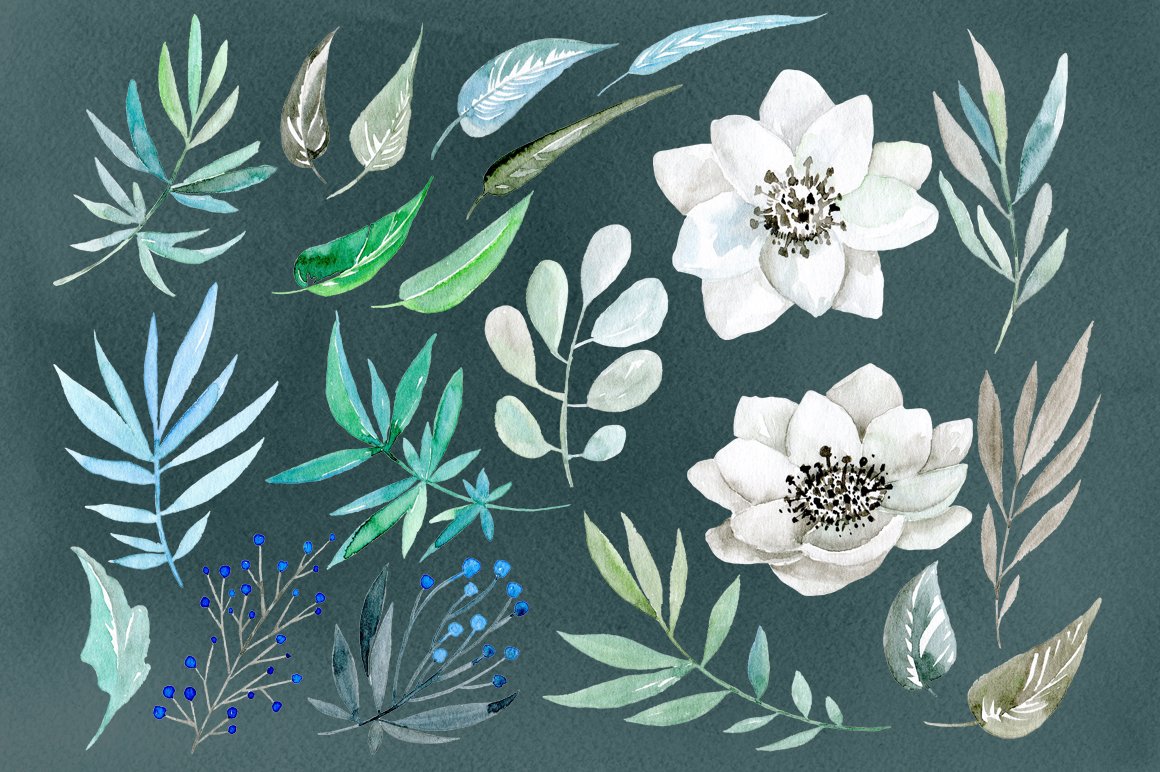 Watercolor white flowers 38 png (21805) | Illustrations | Design Bundles