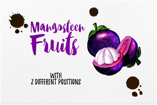 Watercolor Fruits Vol. 4 (17349) | Illustrations | Design Bundles