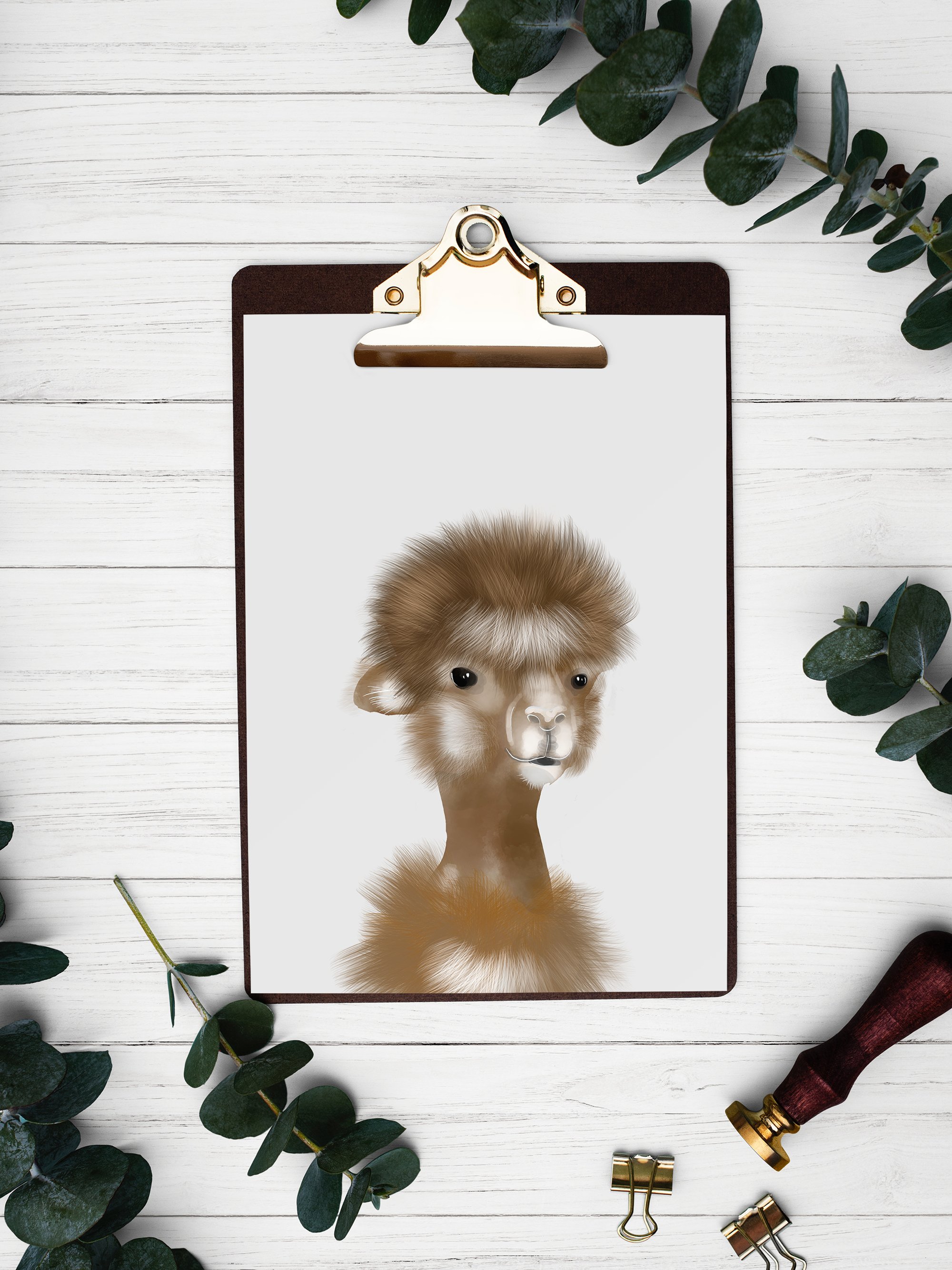 Cute Alpaca Sublimation Bundle PNG | Llama Animal Clipart (1006714 ...