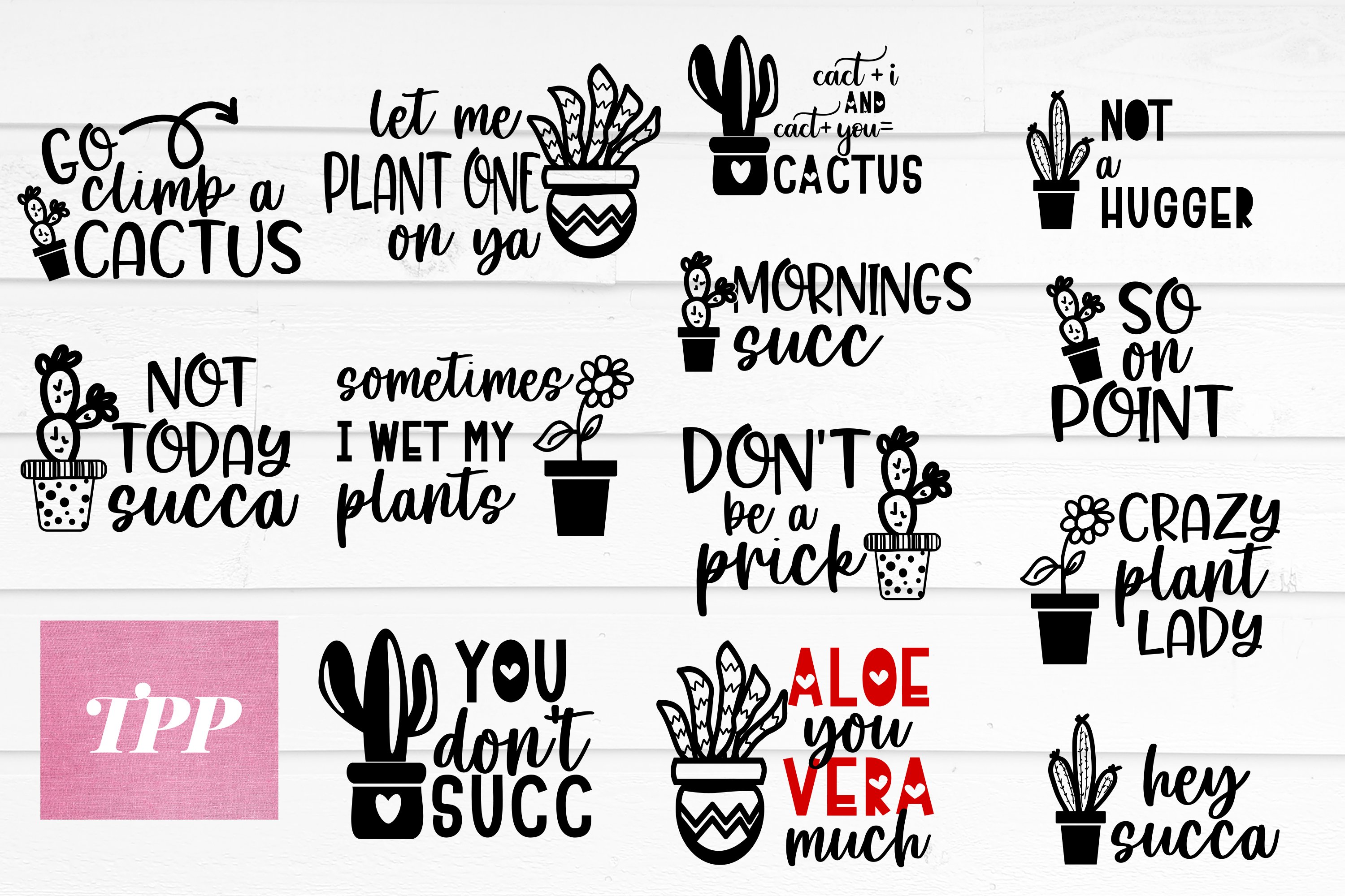 Plant SVG Bundle, Funny Cactus Quotes Bundle, svg, (1134656)