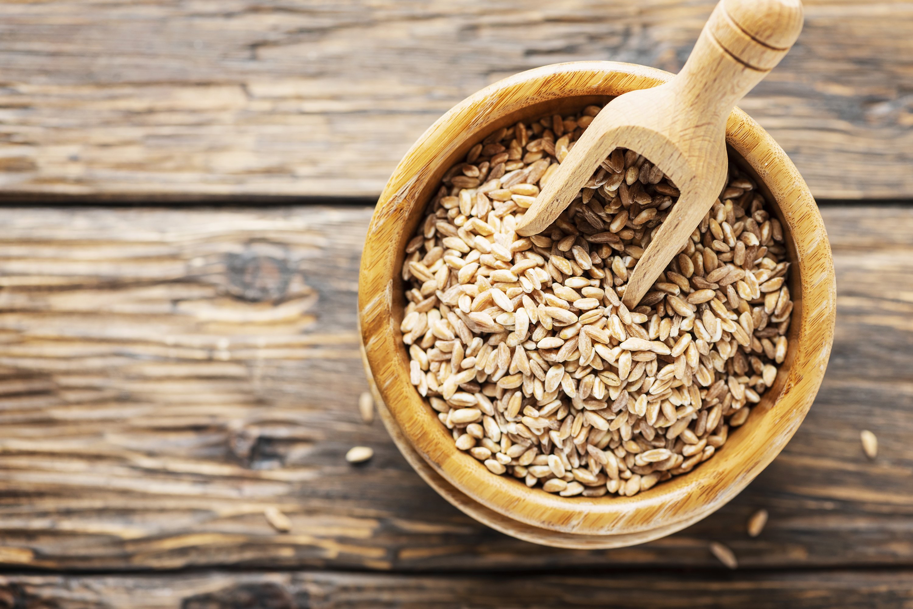 Bowl of Uncooked pearl barley (596709) Food and Drink Design Bundles