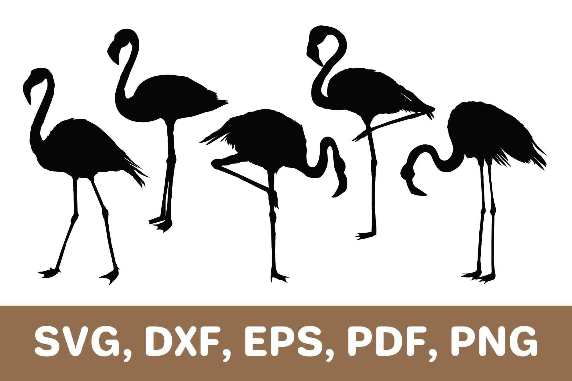 Flamingo svg, flamingo template, flamingo dxf, flamingo png